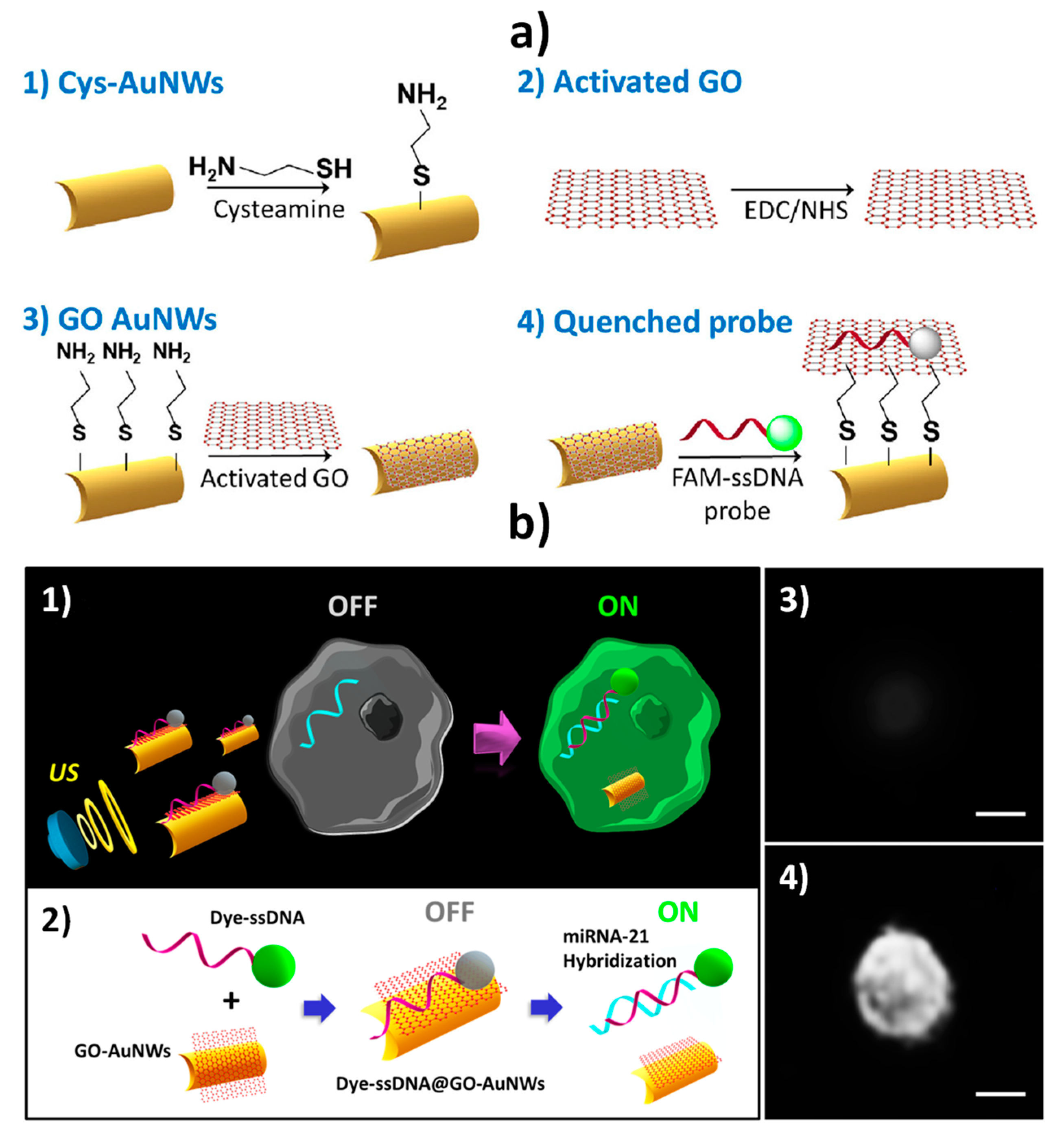 Nanomaterials 09 01614 g003