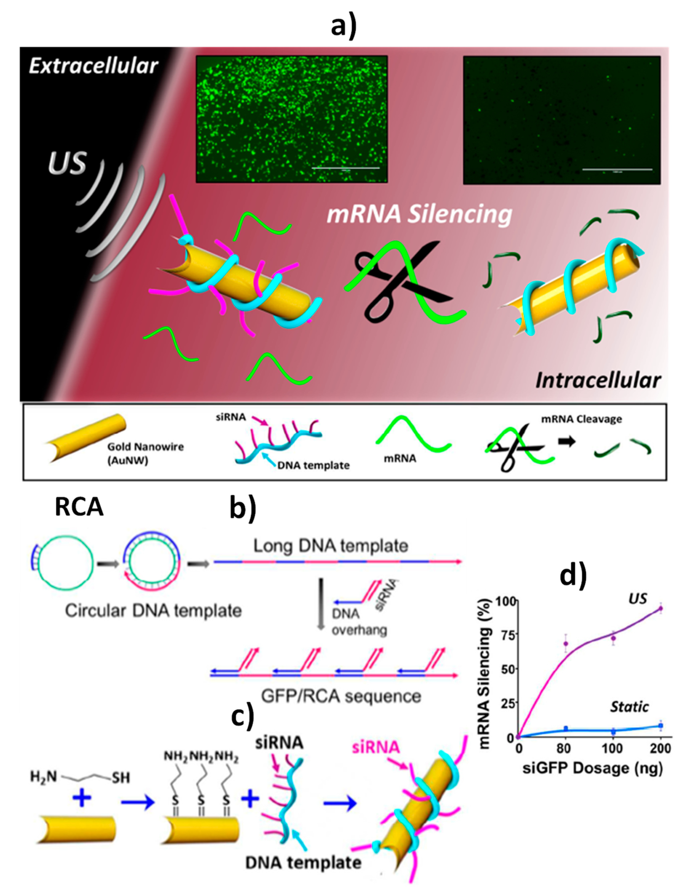 Nanomaterials 09 01614 g004