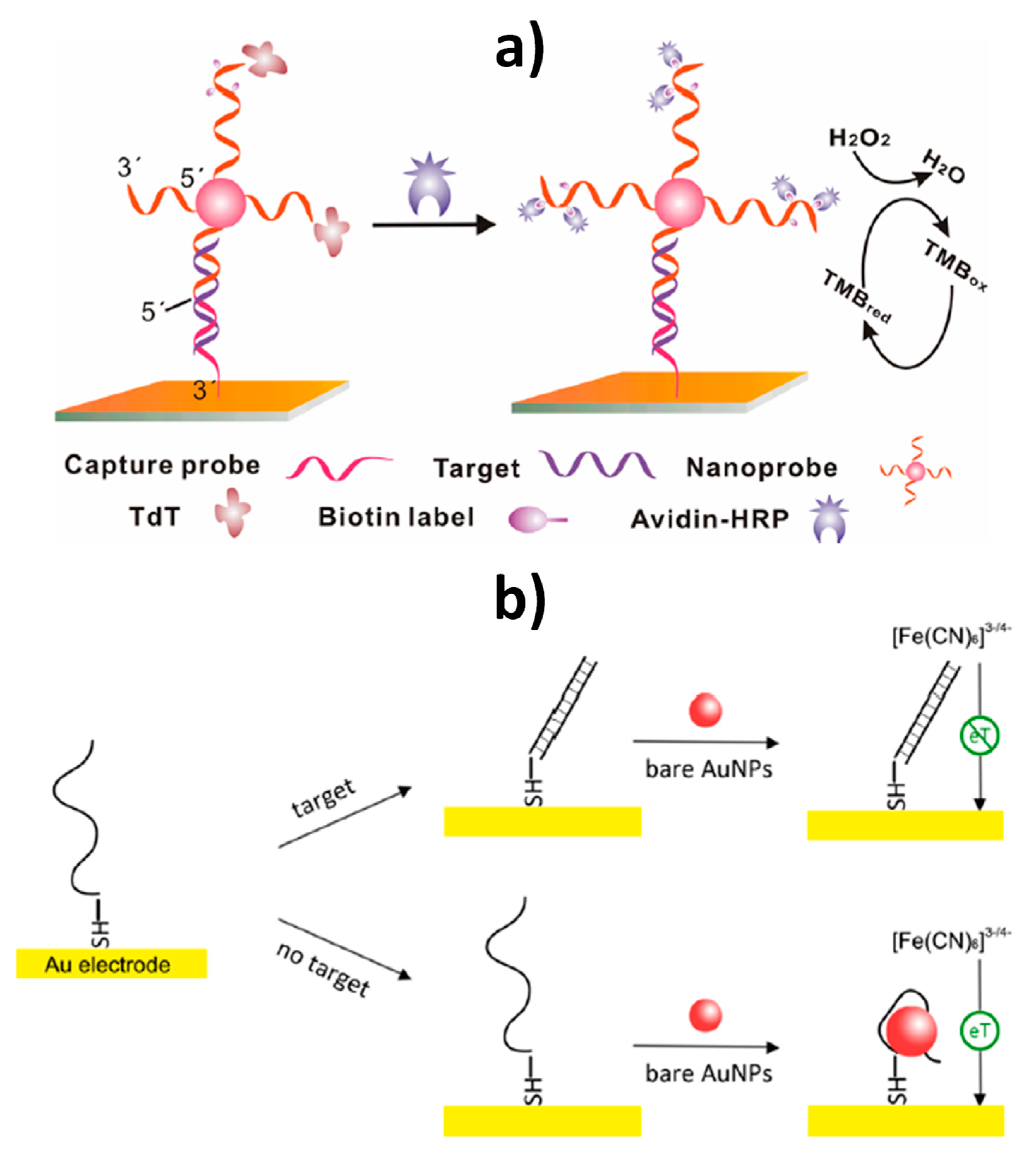 Nanomaterials 09 01614 g005