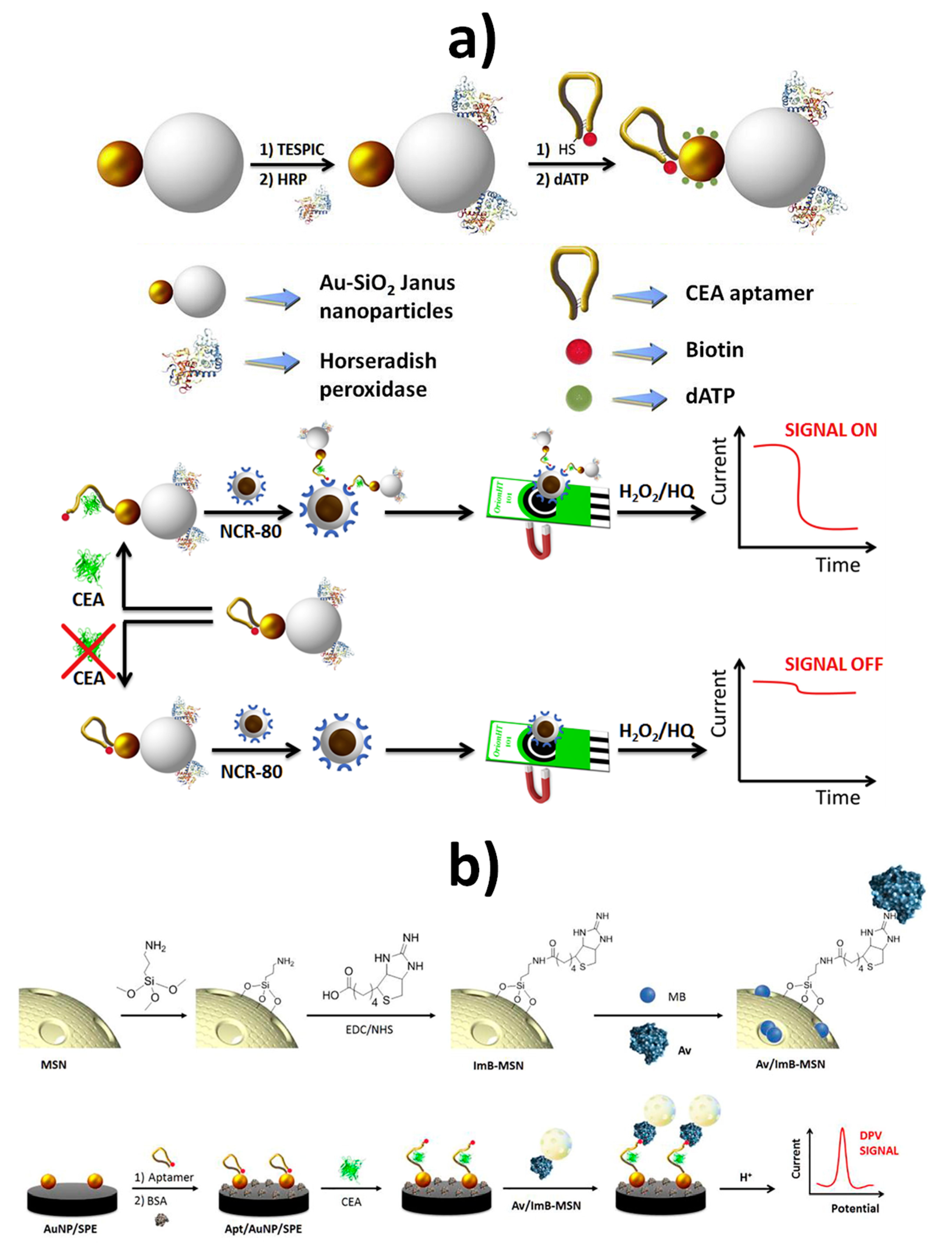 Nanomaterials 09 01614 g007