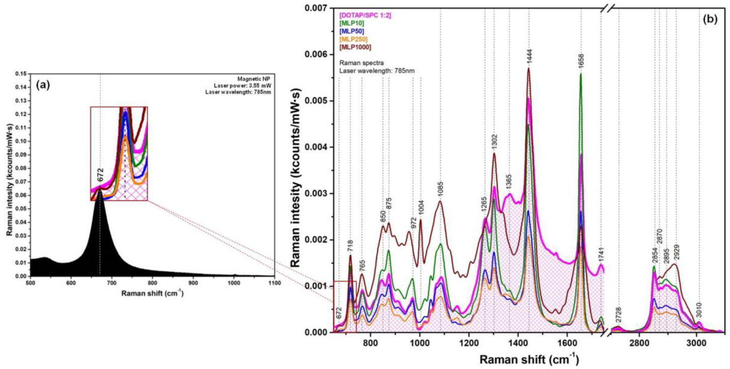 Nanomaterials 09 01623 g006 Nanomaterials 09 01623 g006