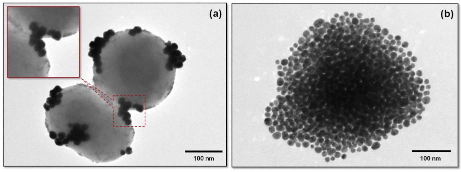 Nanomaterials 09 01623 g008 Nanomaterials 09 01623 g008