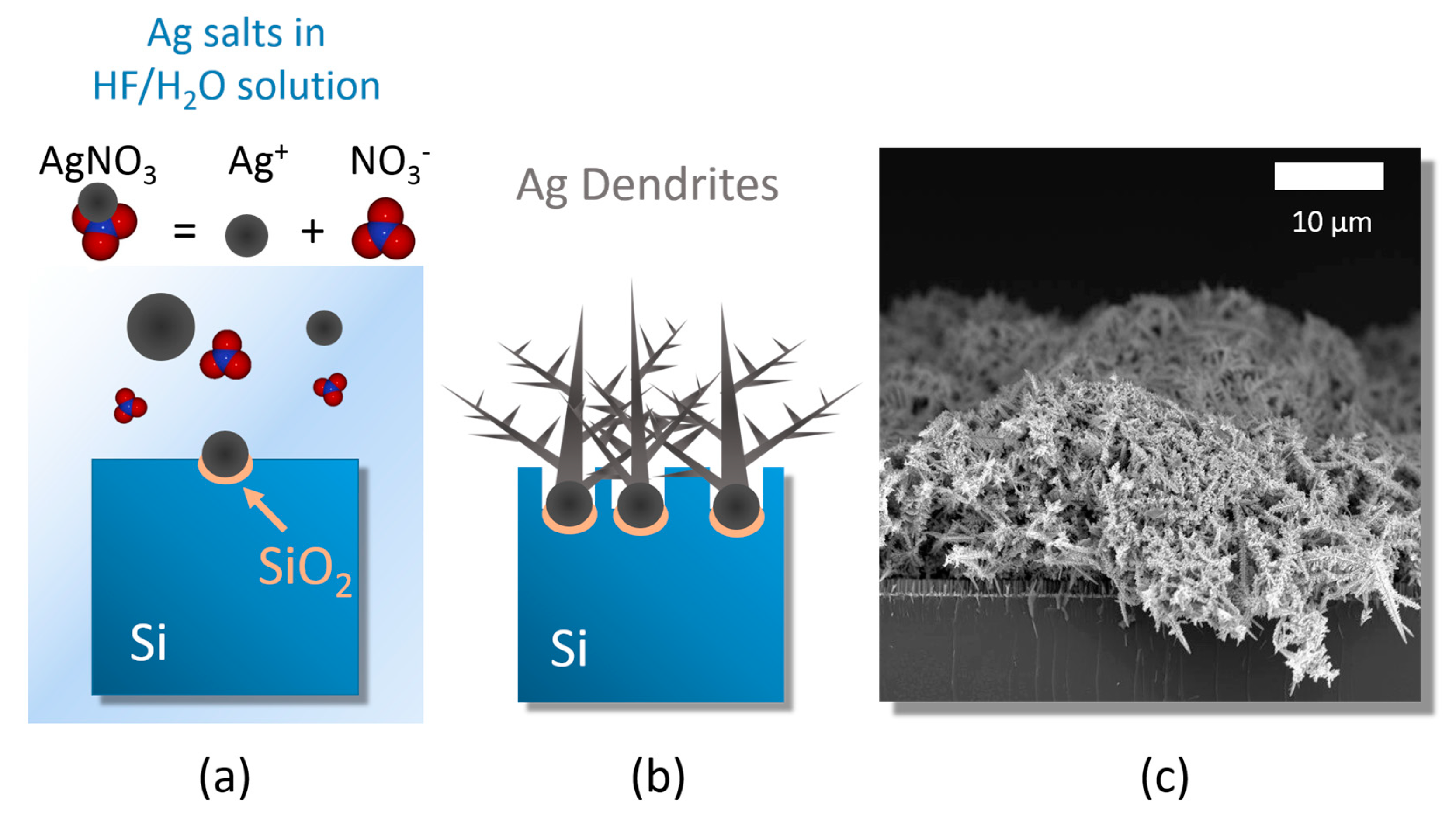 Nanomaterials 09 01630 g001