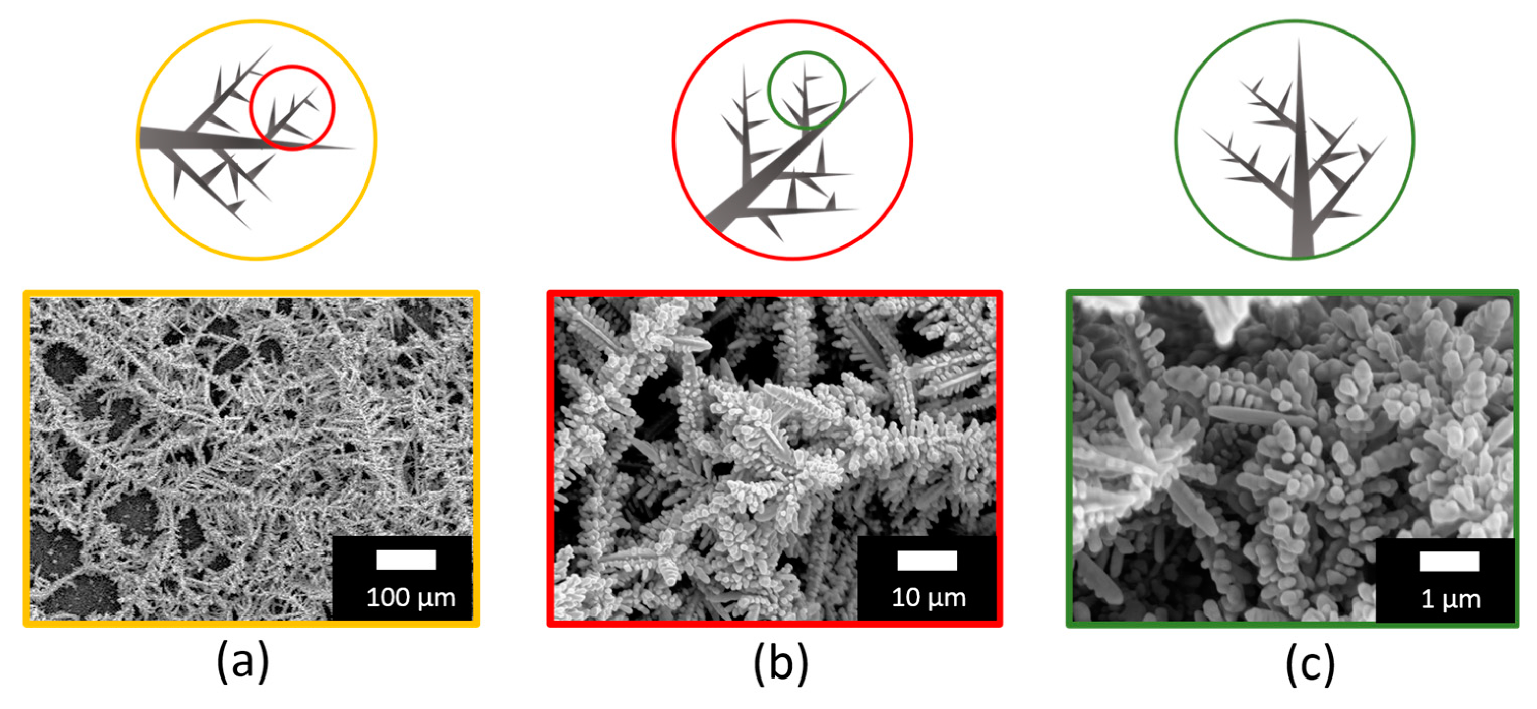 Nanomaterials 09 01630 g002