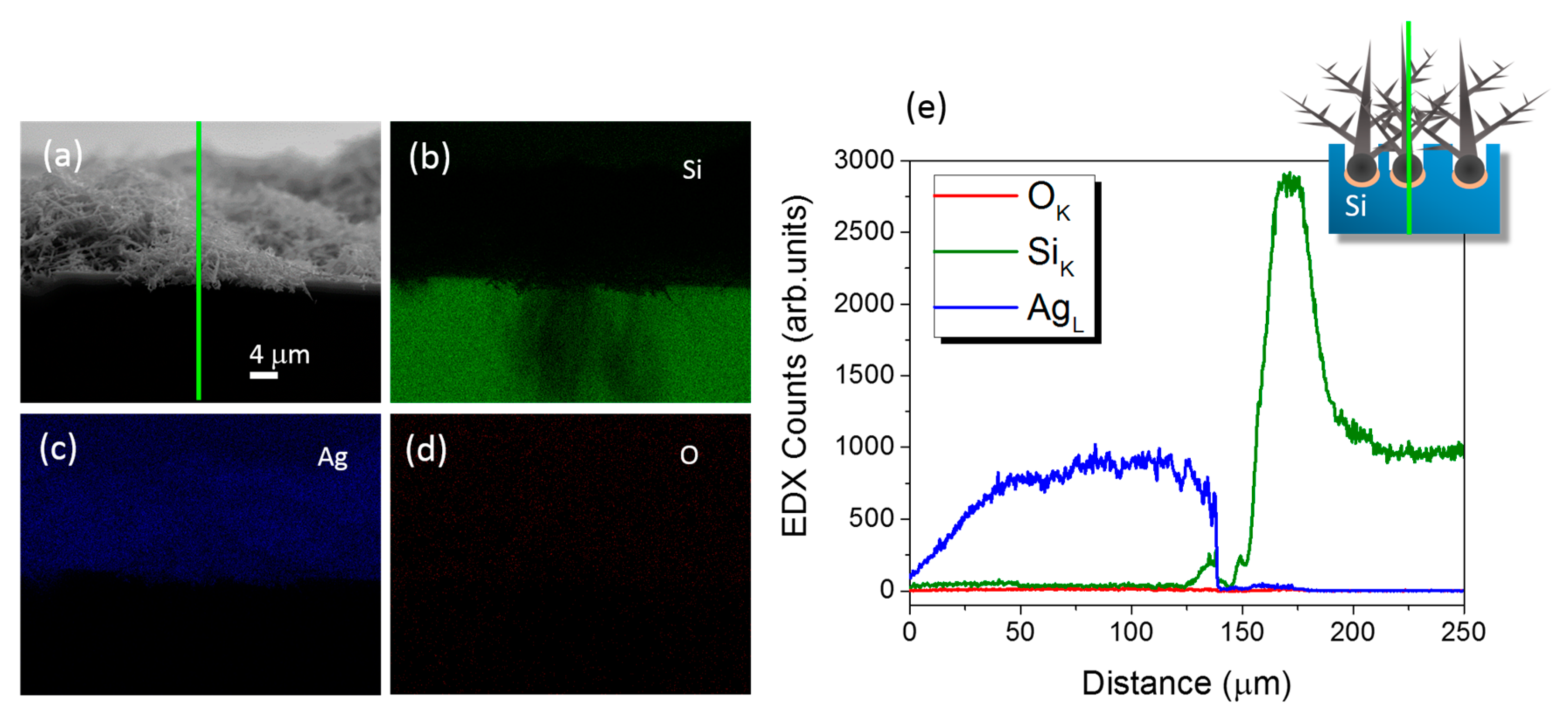 Nanomaterials 09 01630 g003