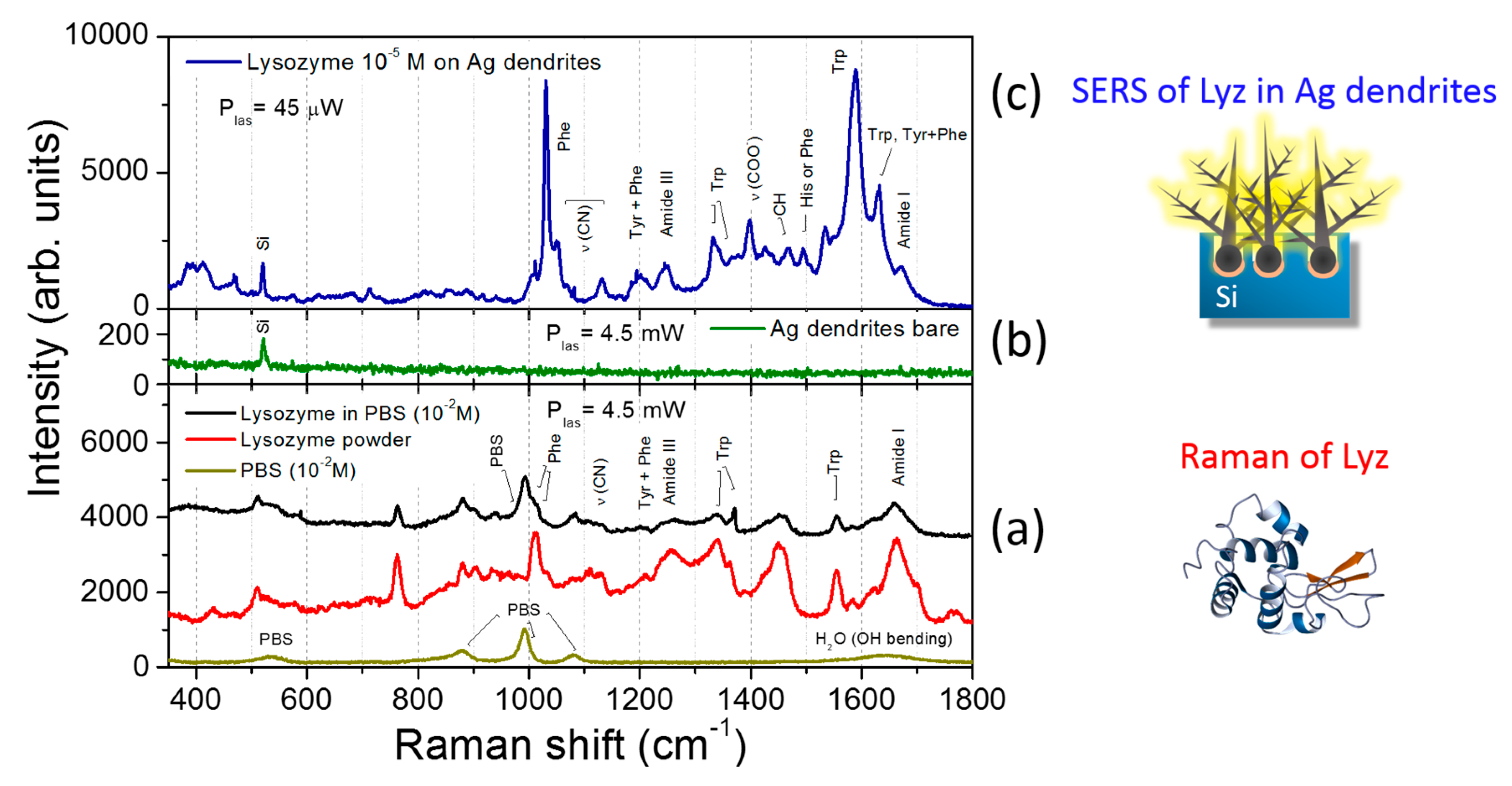 Nanomaterials 09 01630 g005