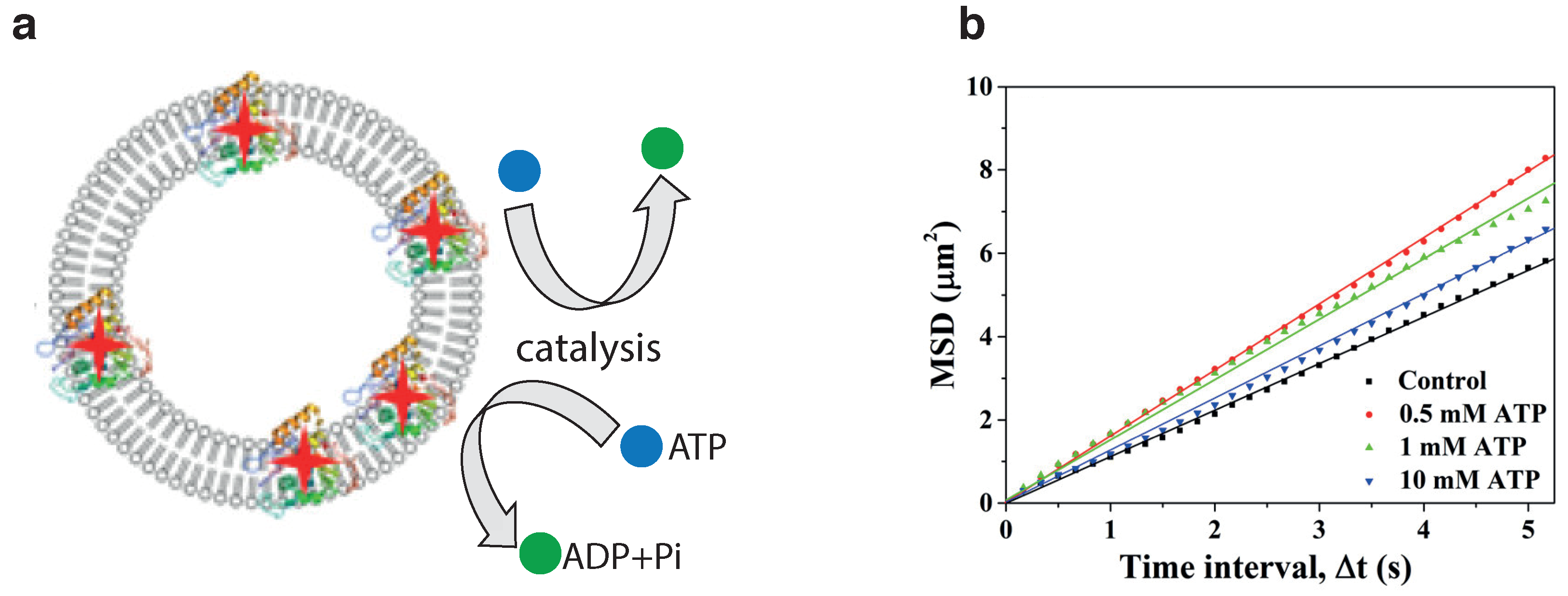 Nanomaterials 09 01680 g002