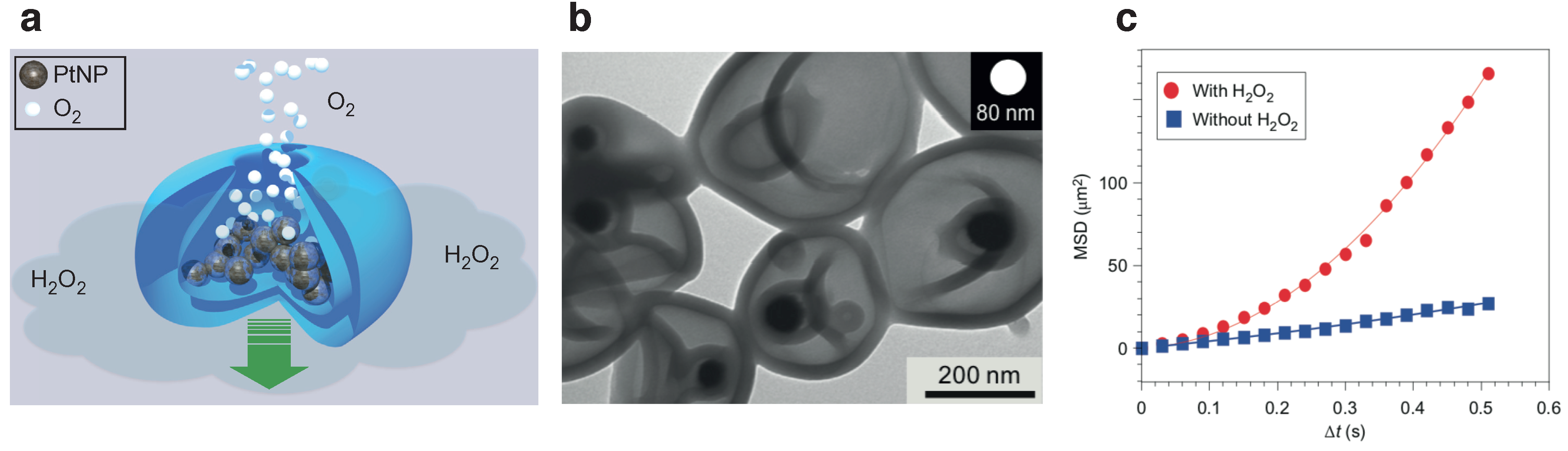 Nanomaterials 09 01680 g004