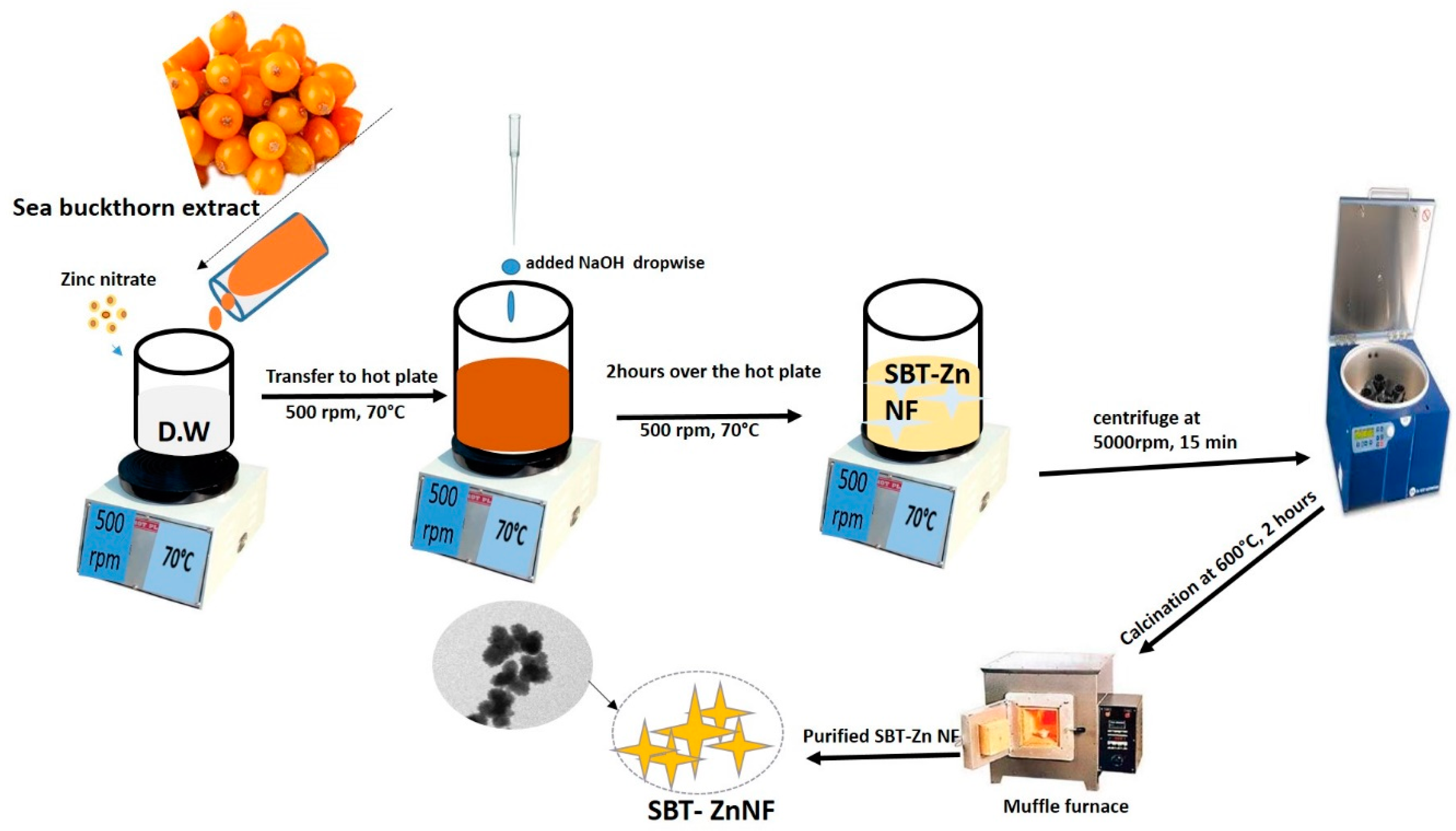 Nanomaterials 09 01692 g001