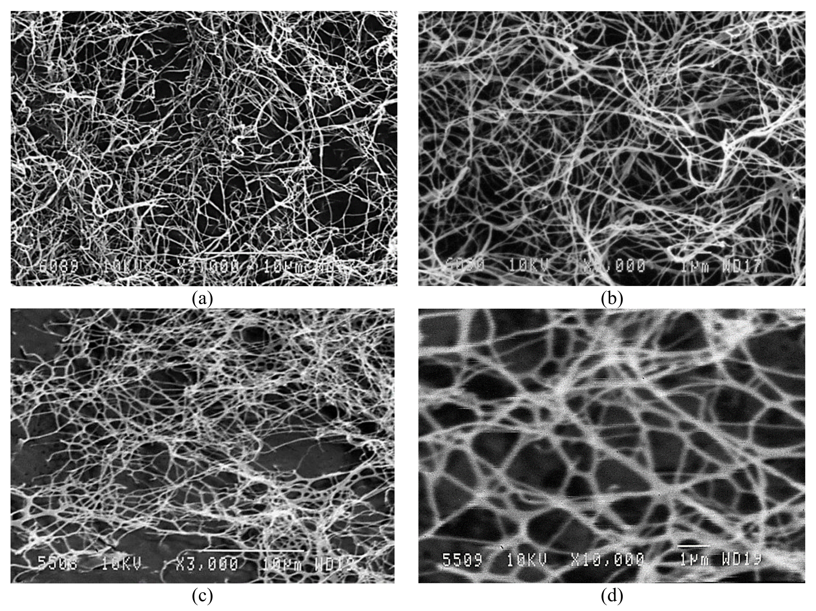 Nanomaterials 09 01694 g002