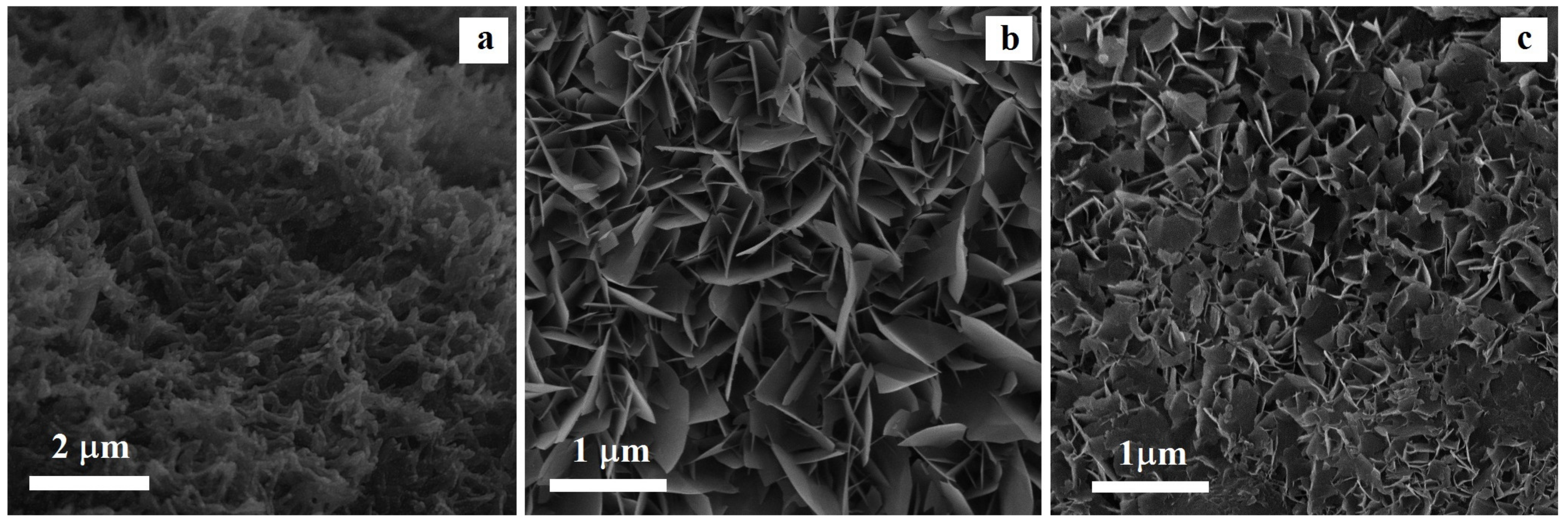Nanomaterials 09 01696 g001 Nanomaterials 09 01696 g001