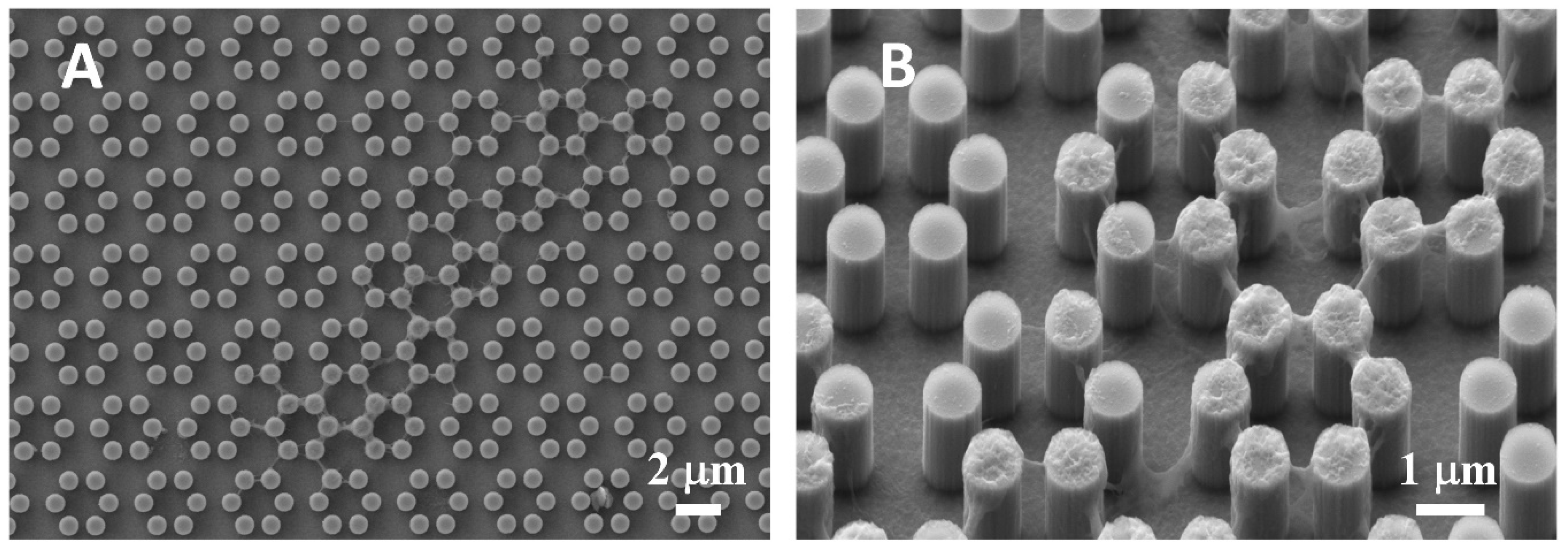 Nanomaterials 09 01701 g002