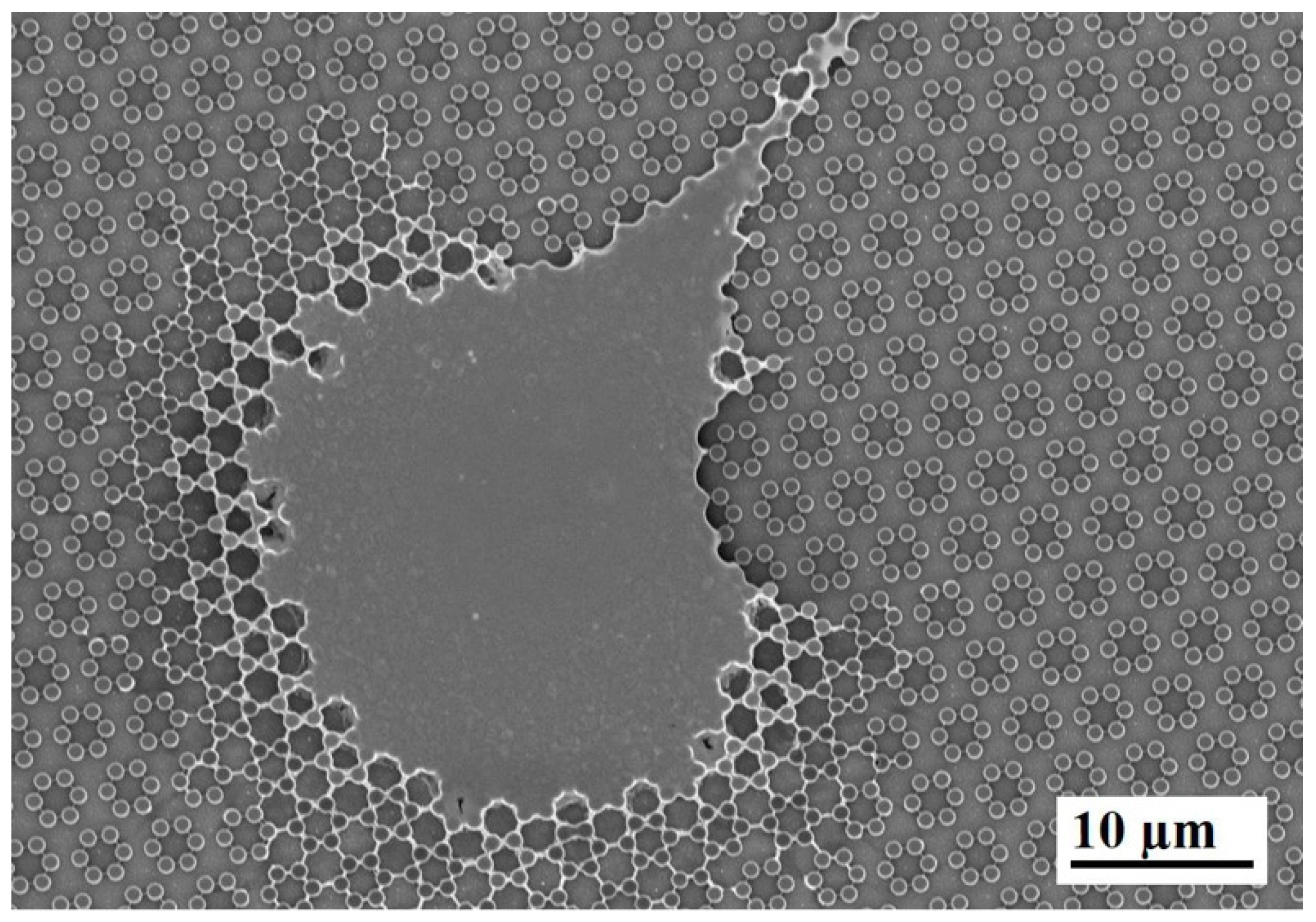 Nanomaterials 09 01701 g005