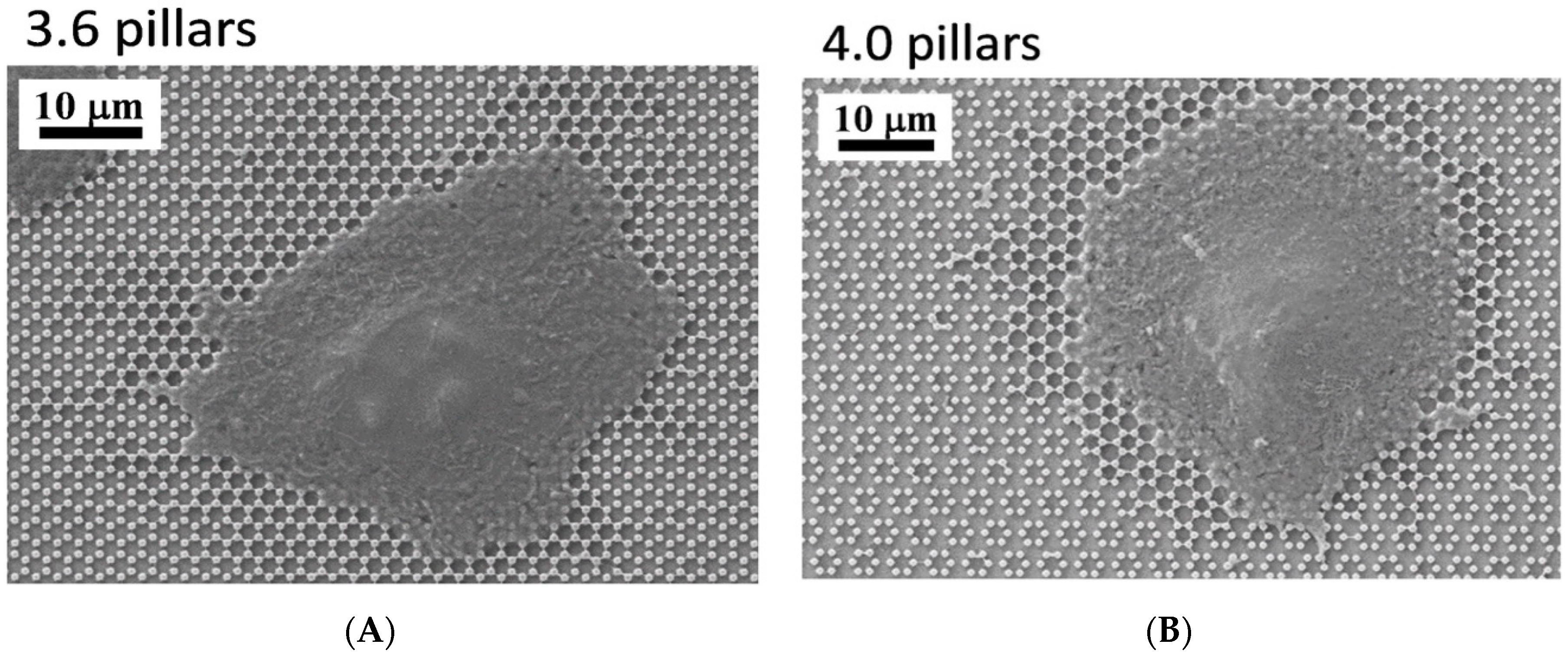 Nanomaterials 09 01701 g010
