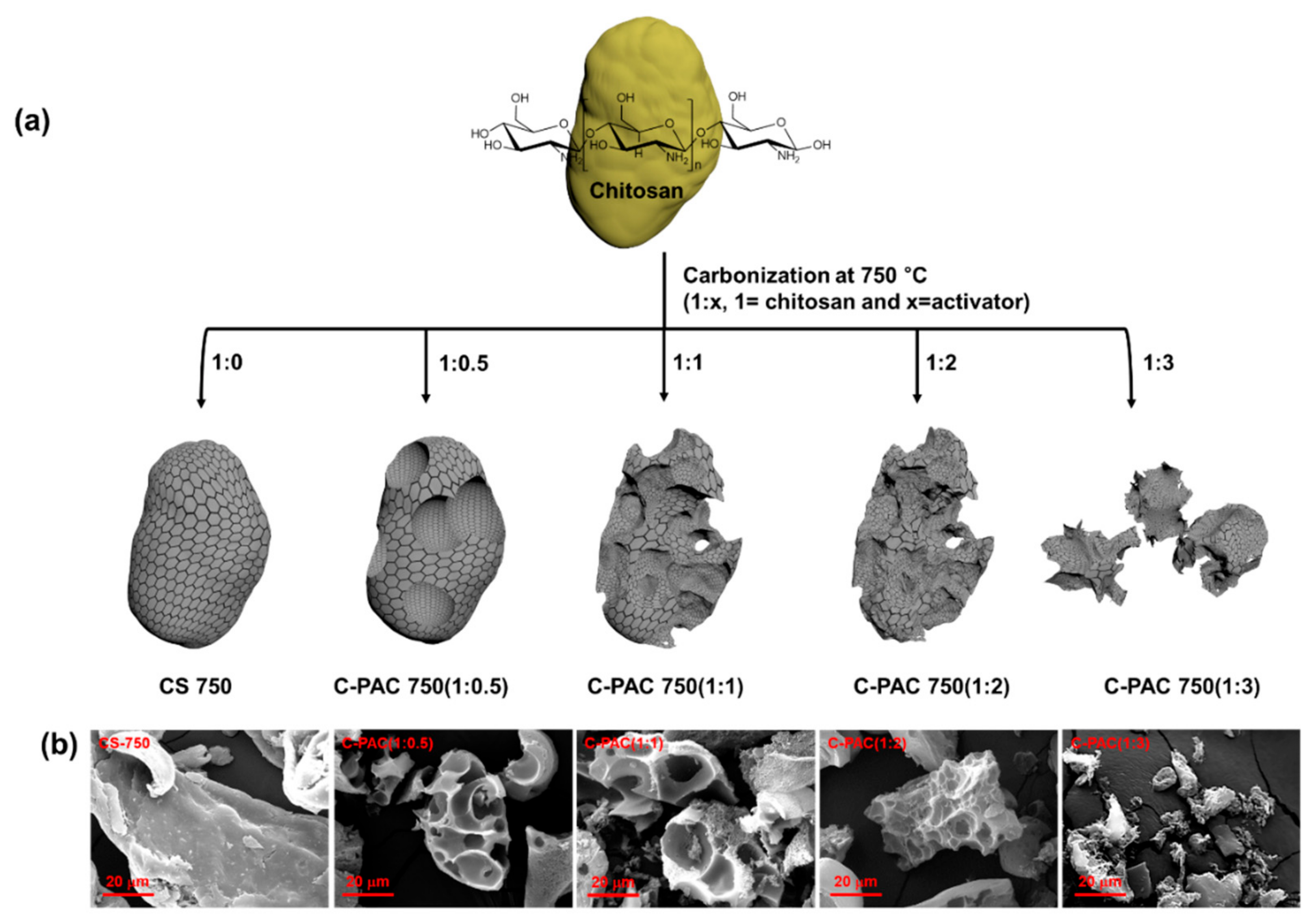 Nanomaterials 09 01703 g001 Nanomaterials 09 01703 g001