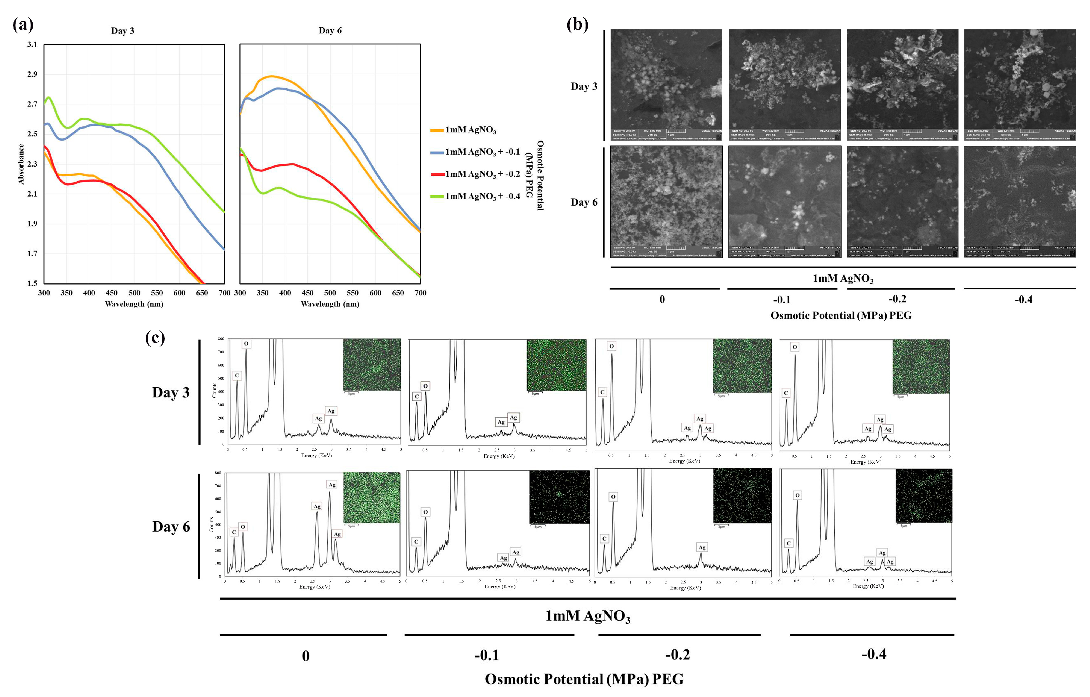 Nanomaterials 09 01716 g005
