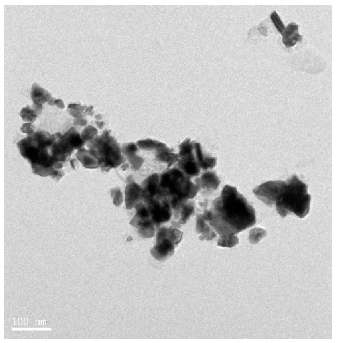 Nanomaterials 09 01719 g011