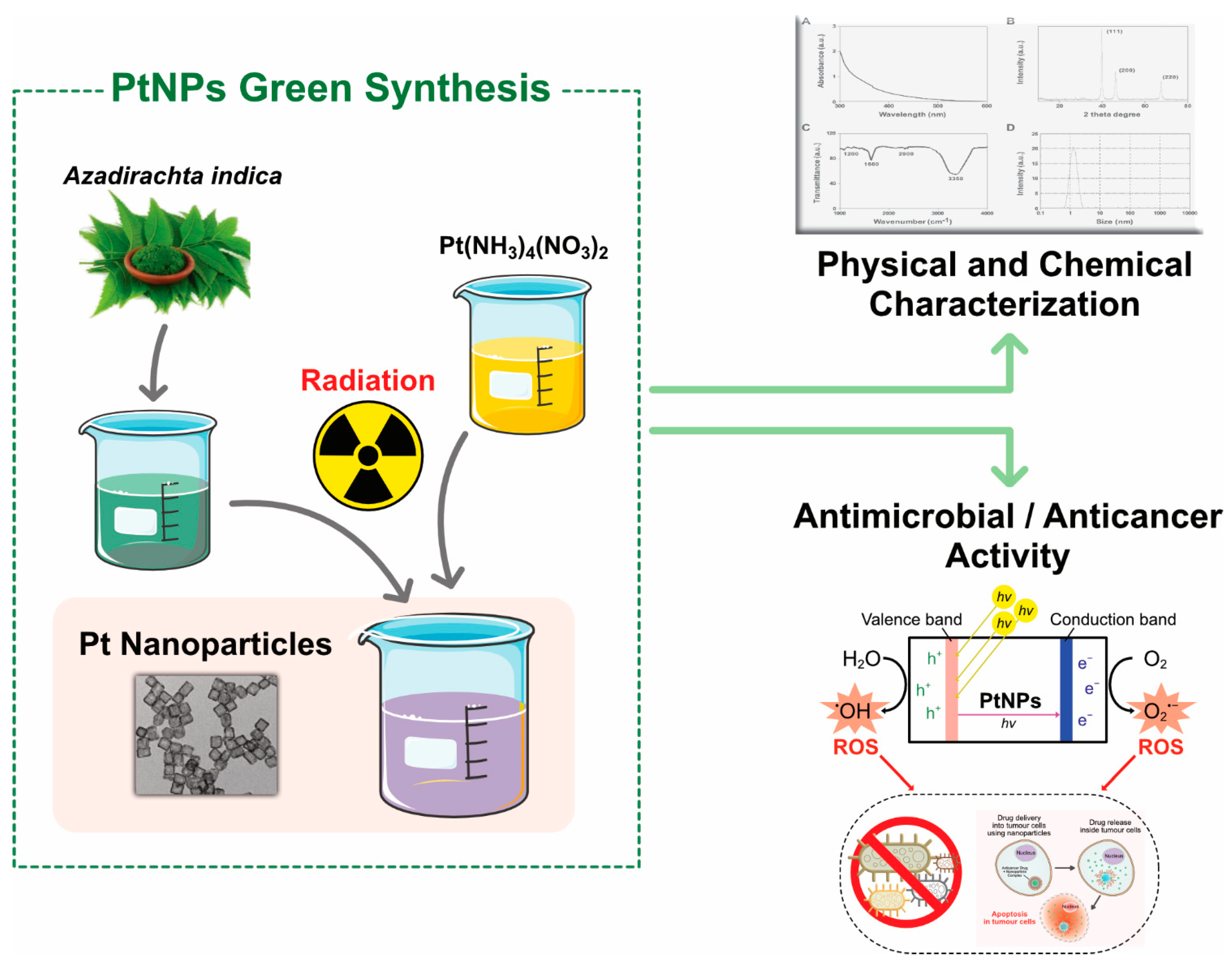 Nanomaterials 09 01719 g012