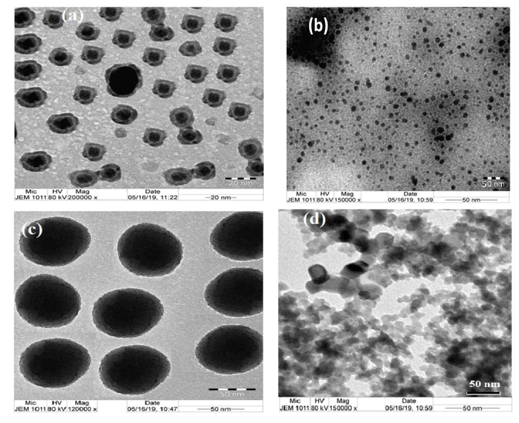 Nanomaterials 09 01721 g003