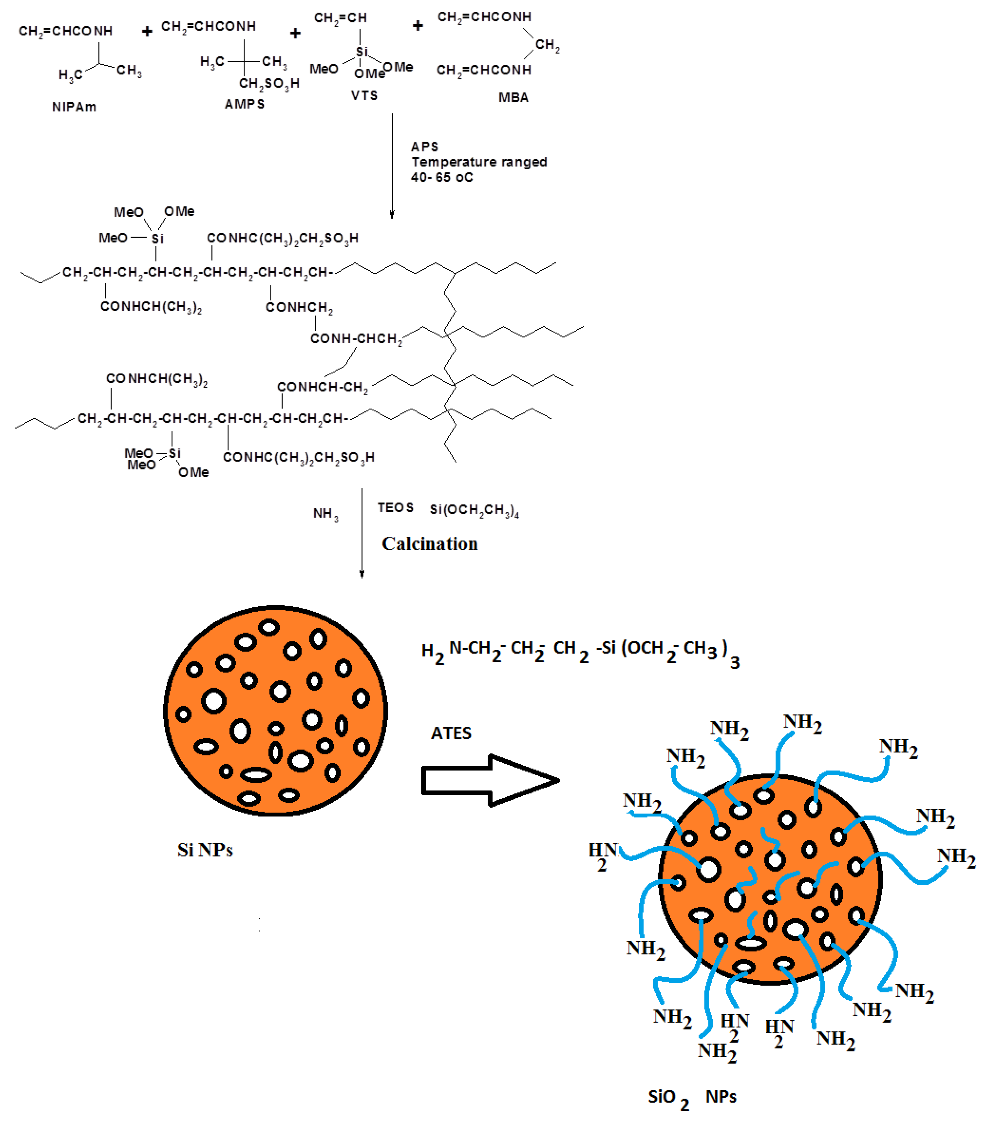 Nanomaterials 09 01721 sch001