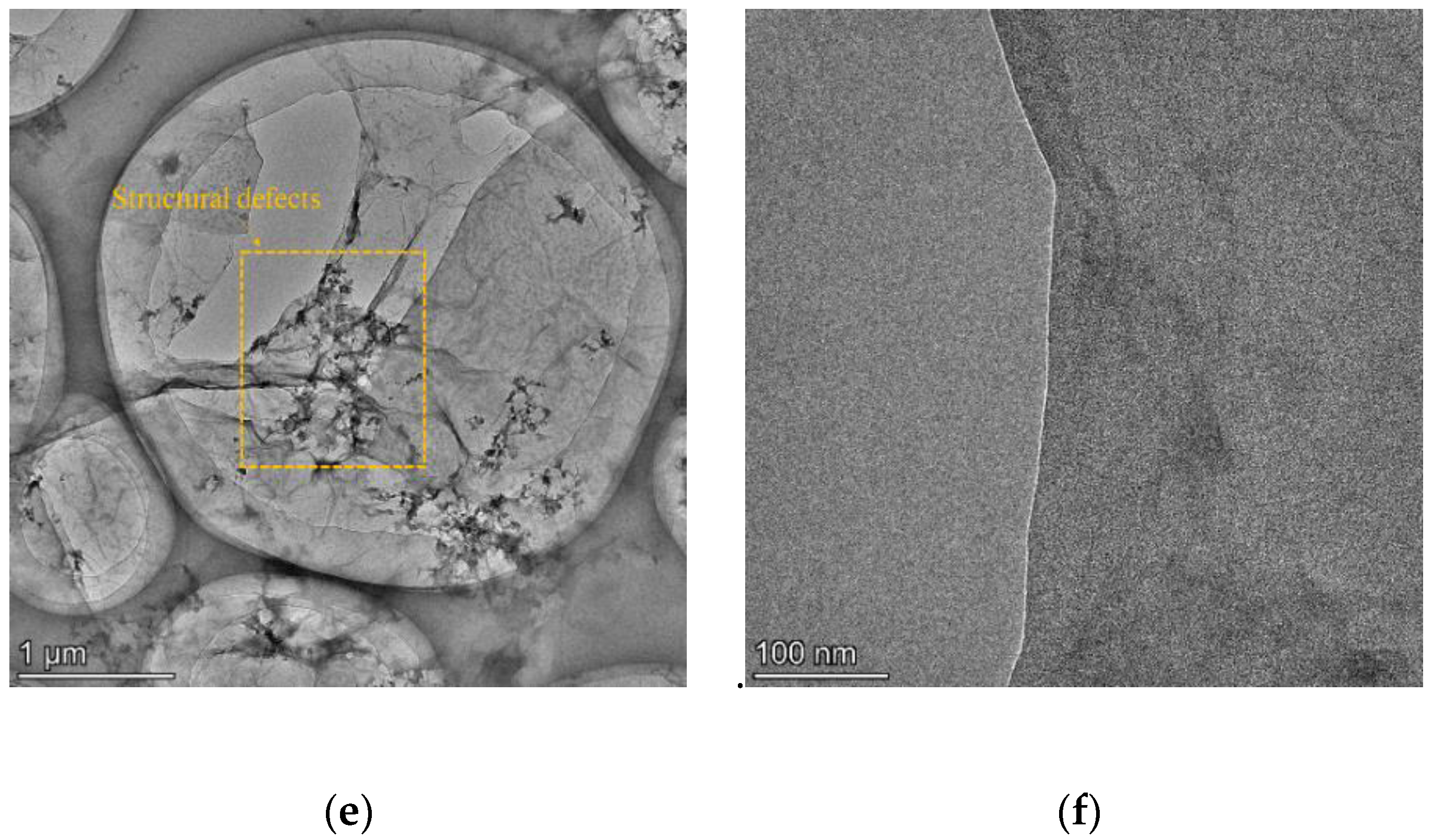 Nanomaterials 09 01723 g004b