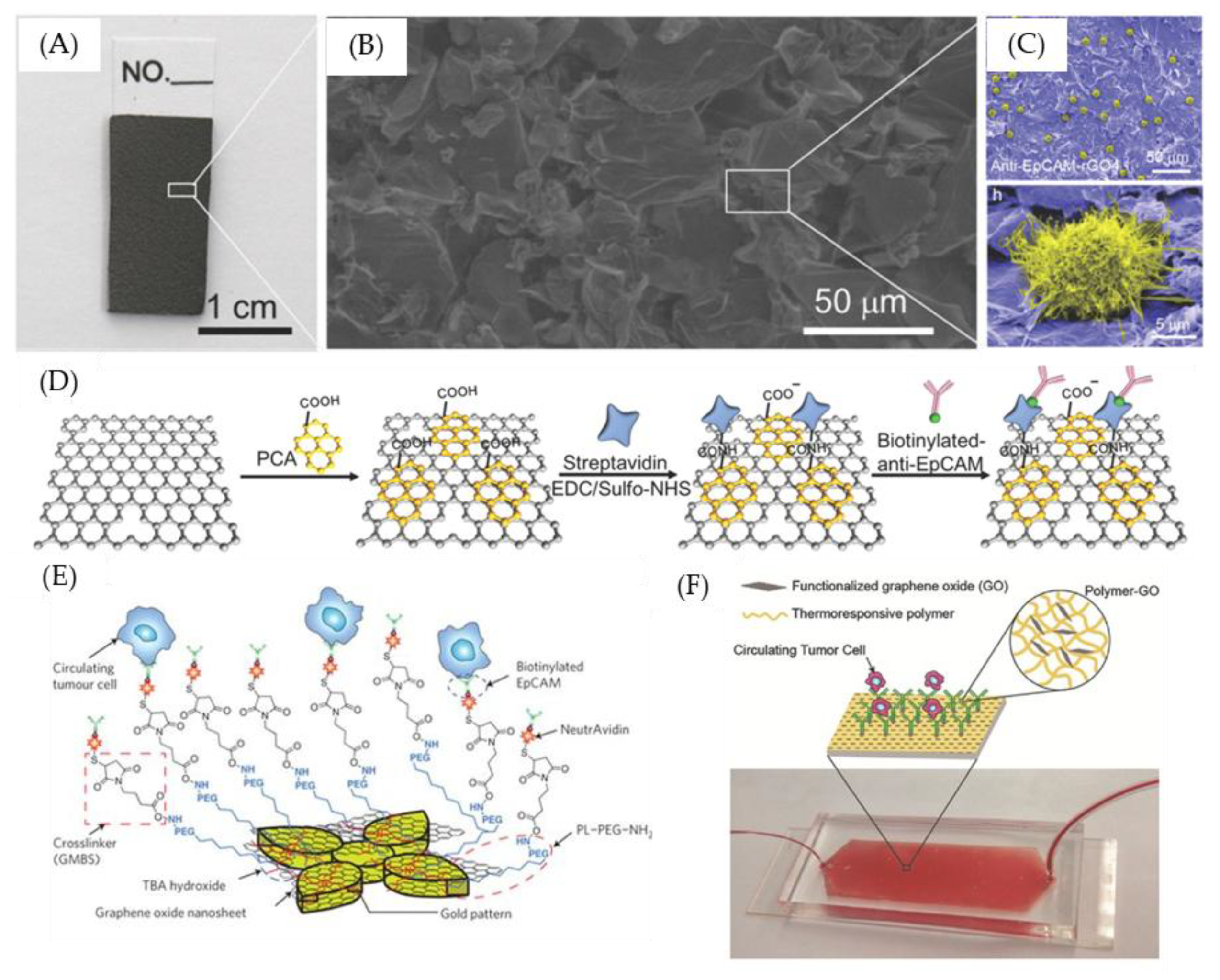 Nanomaterials 09 01725 g001