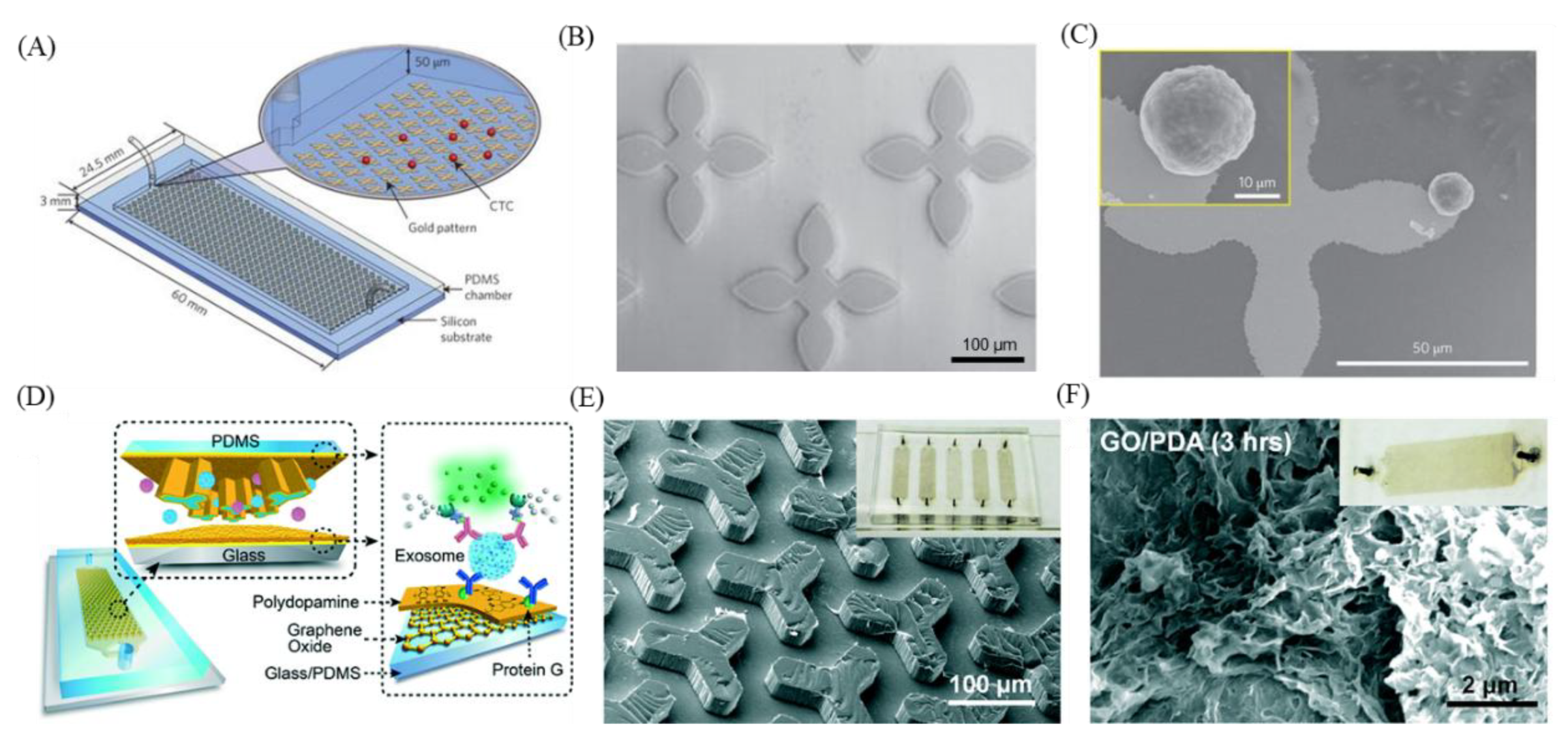 Nanomaterials 09 01725 g005