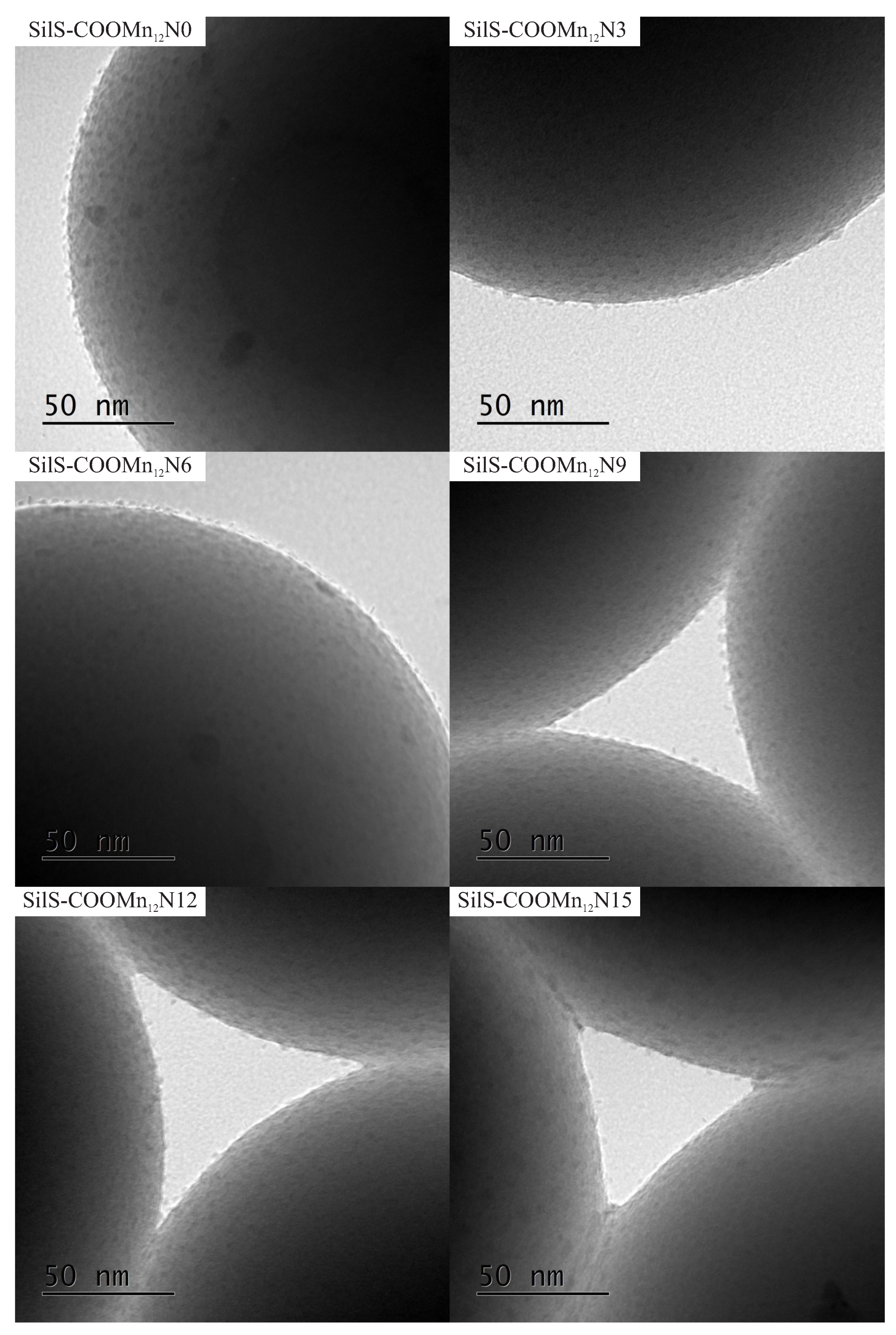 Nanomaterials 09 01730 g004 Nanomaterials 09 01730 g004
