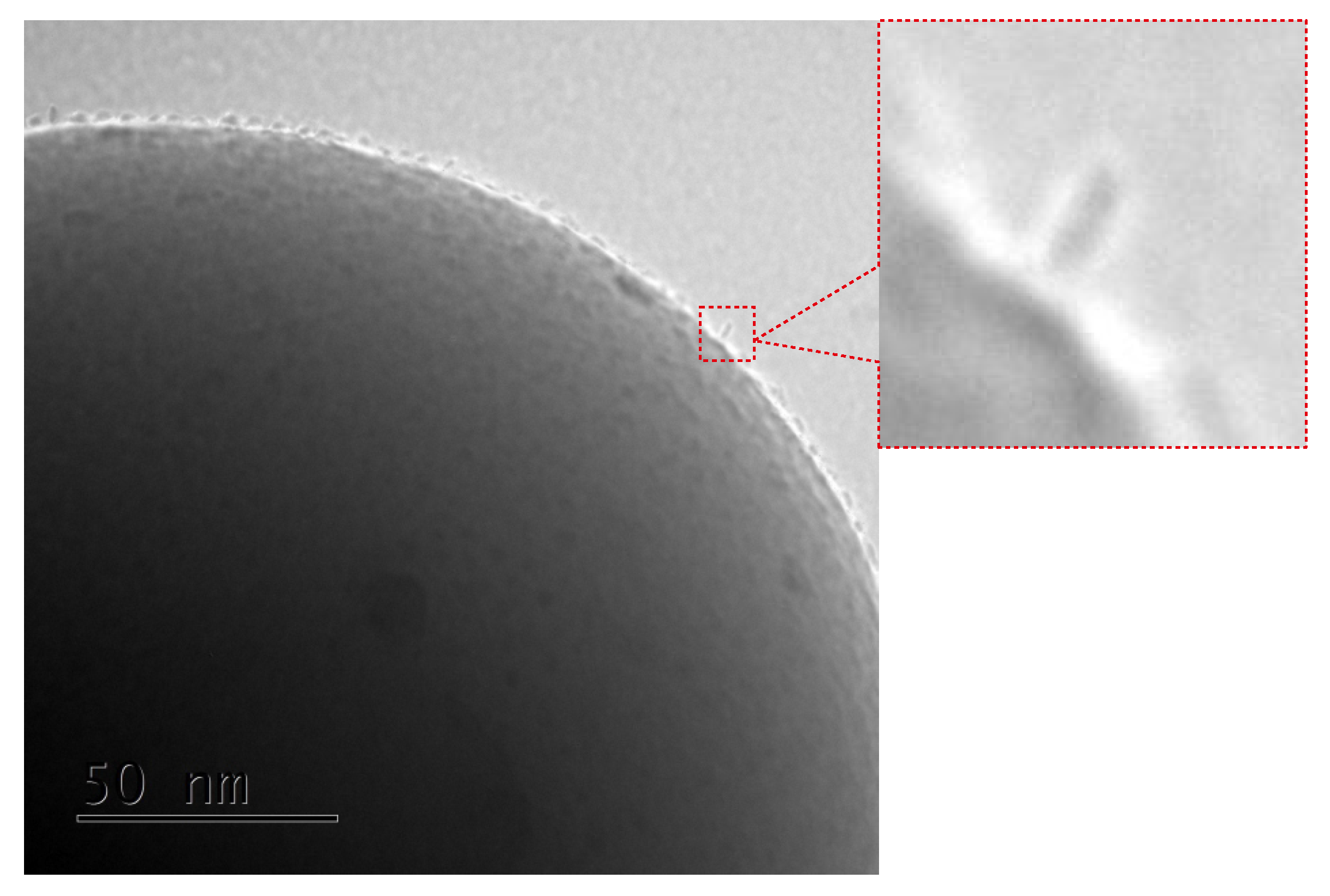 Nanomaterials 09 01730 g005 Nanomaterials 09 01730 g005