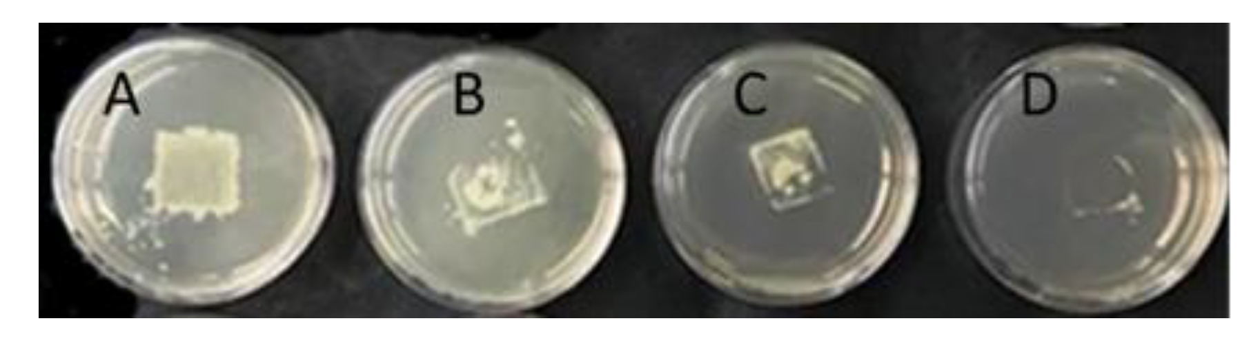 Nanomaterials 09 01740 g006
