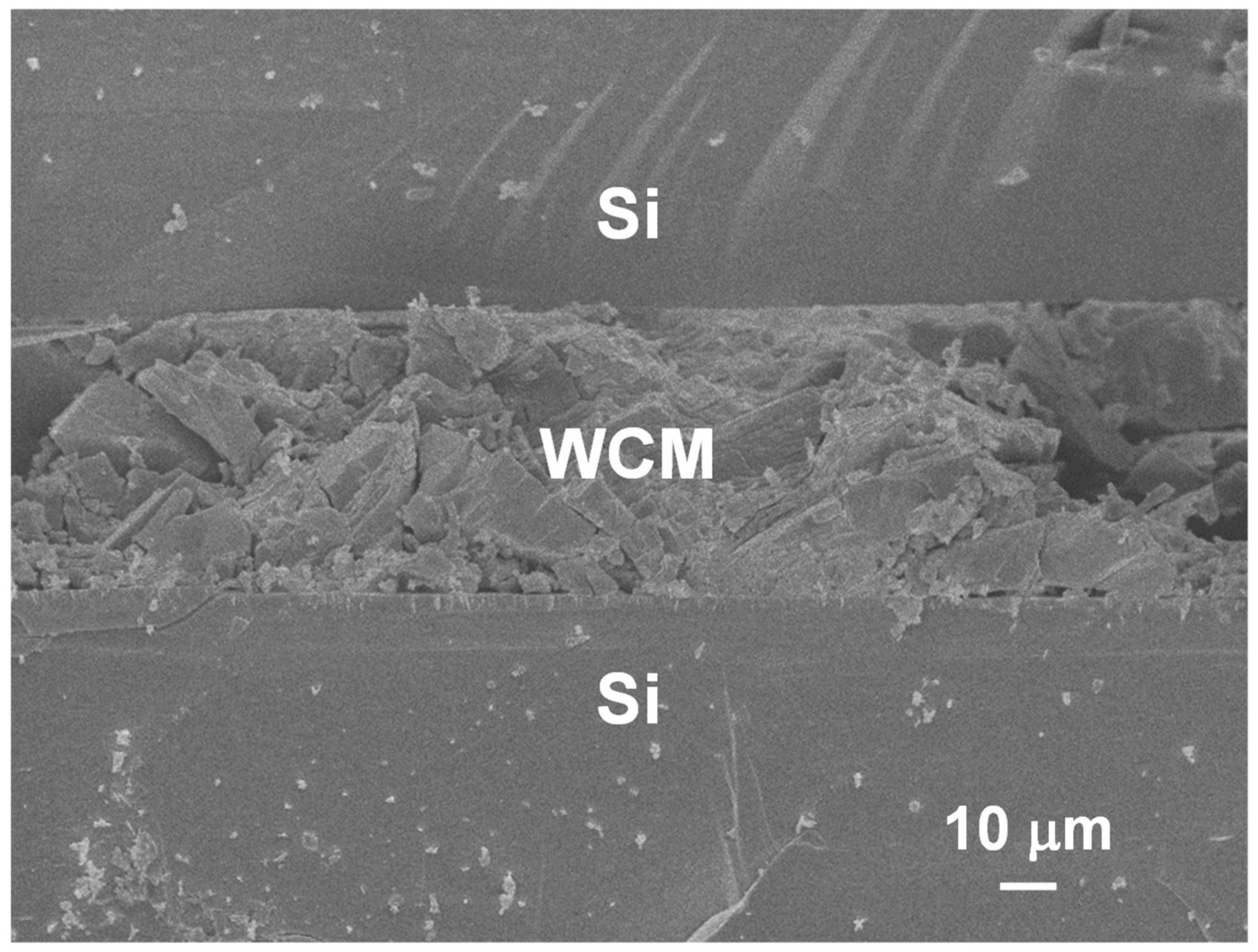 Nanomaterials 09 01742 g002