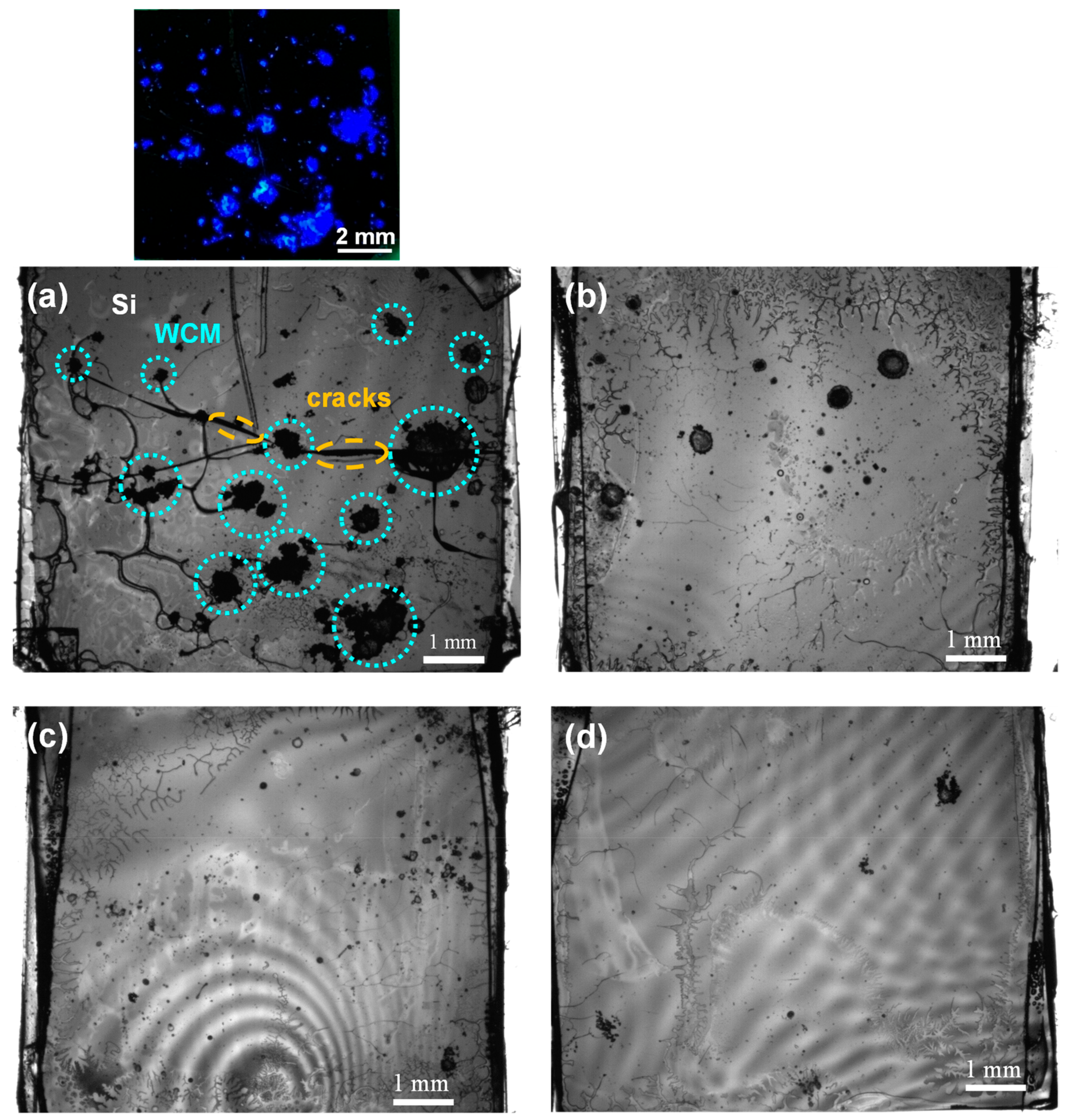 Nanomaterials 09 01742 g004