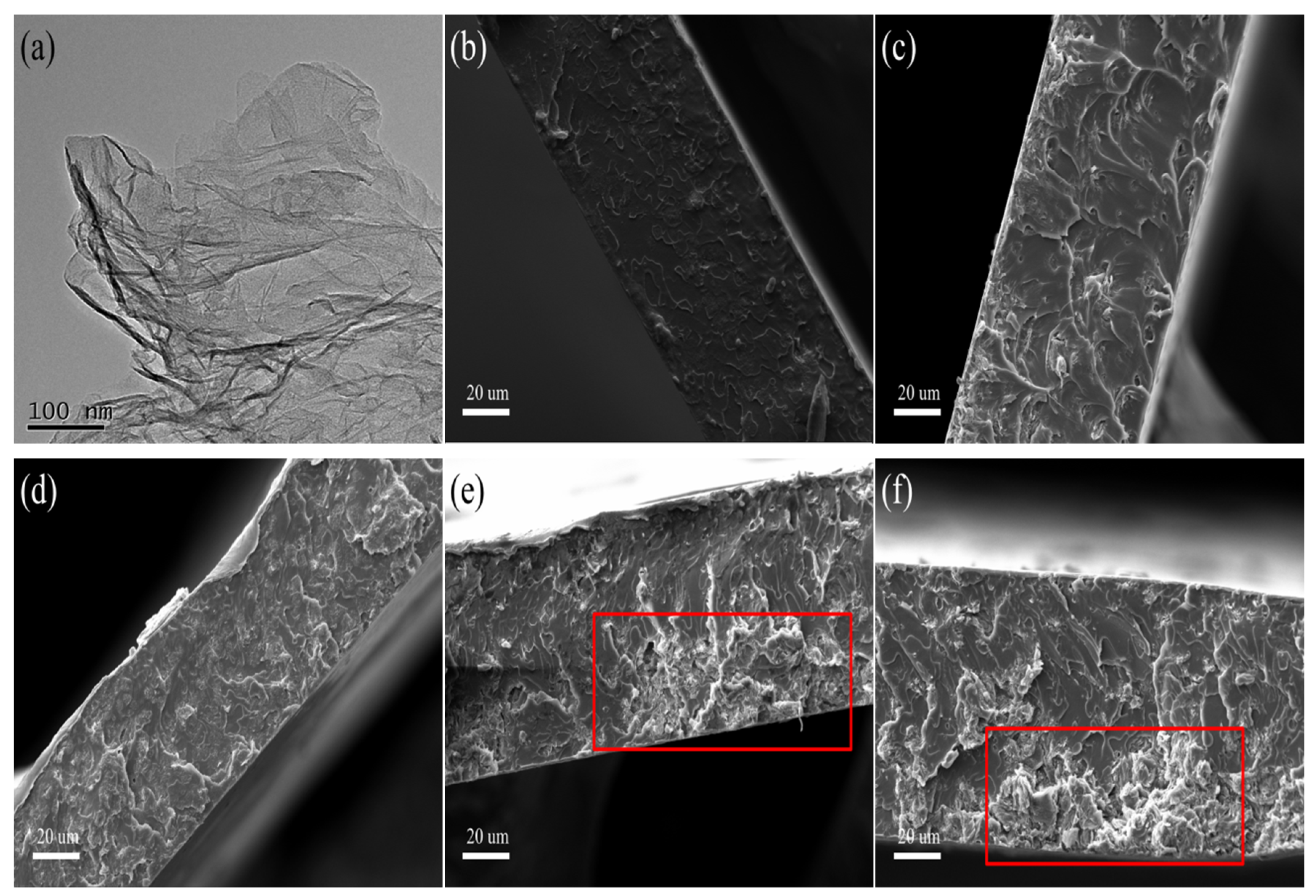 Nanomaterials 09 01747 g002