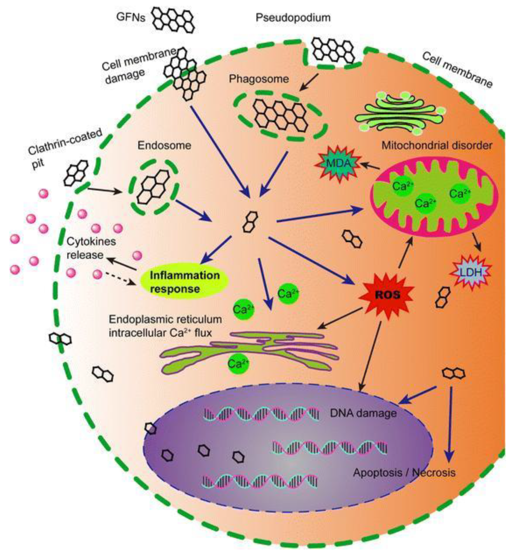 Nanomaterials 09 01758 g007 Nanomaterials 09 01758 g007