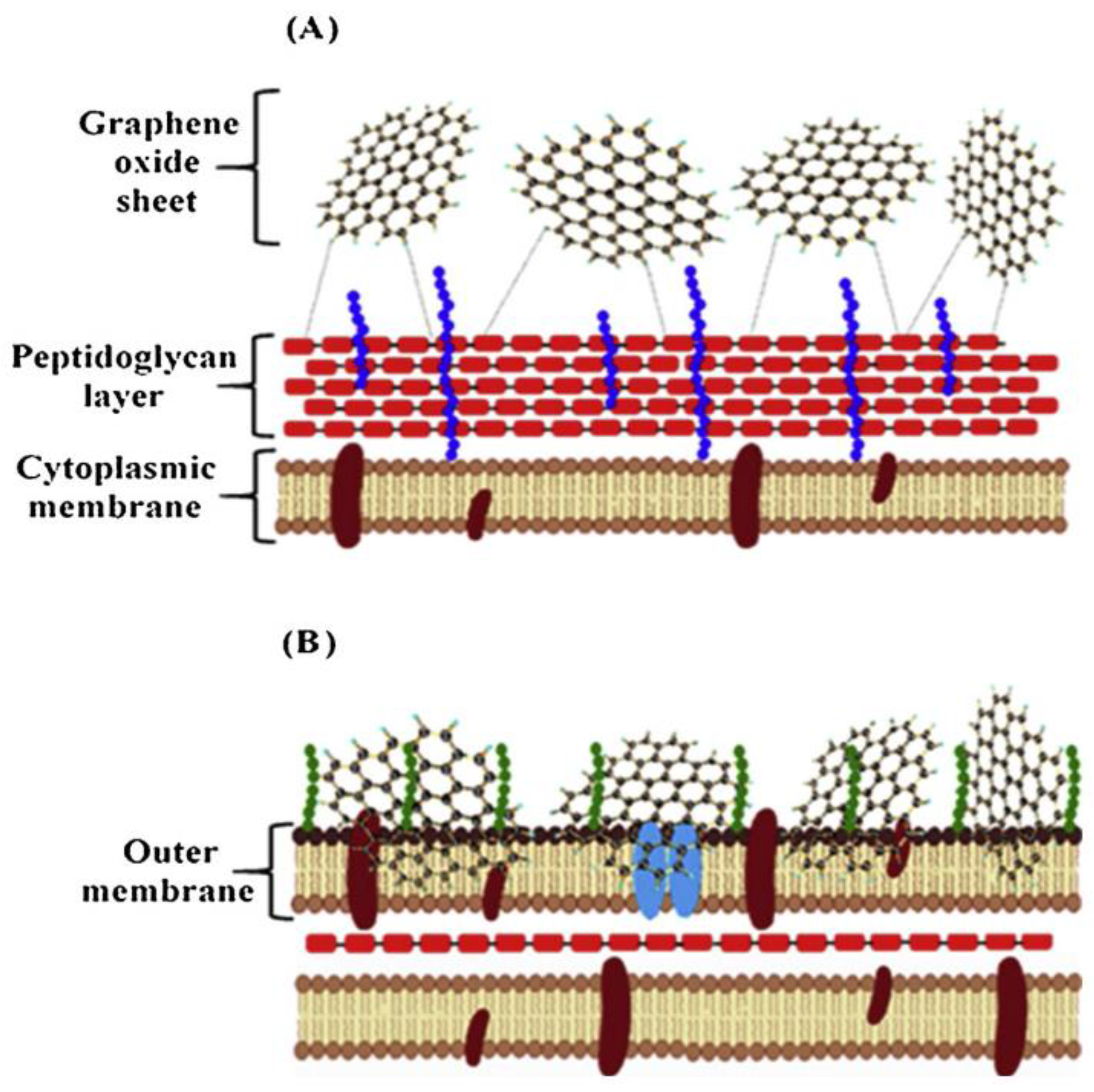 Nanomaterials 09 01758 g010 Nanomaterials 09 01758 g010