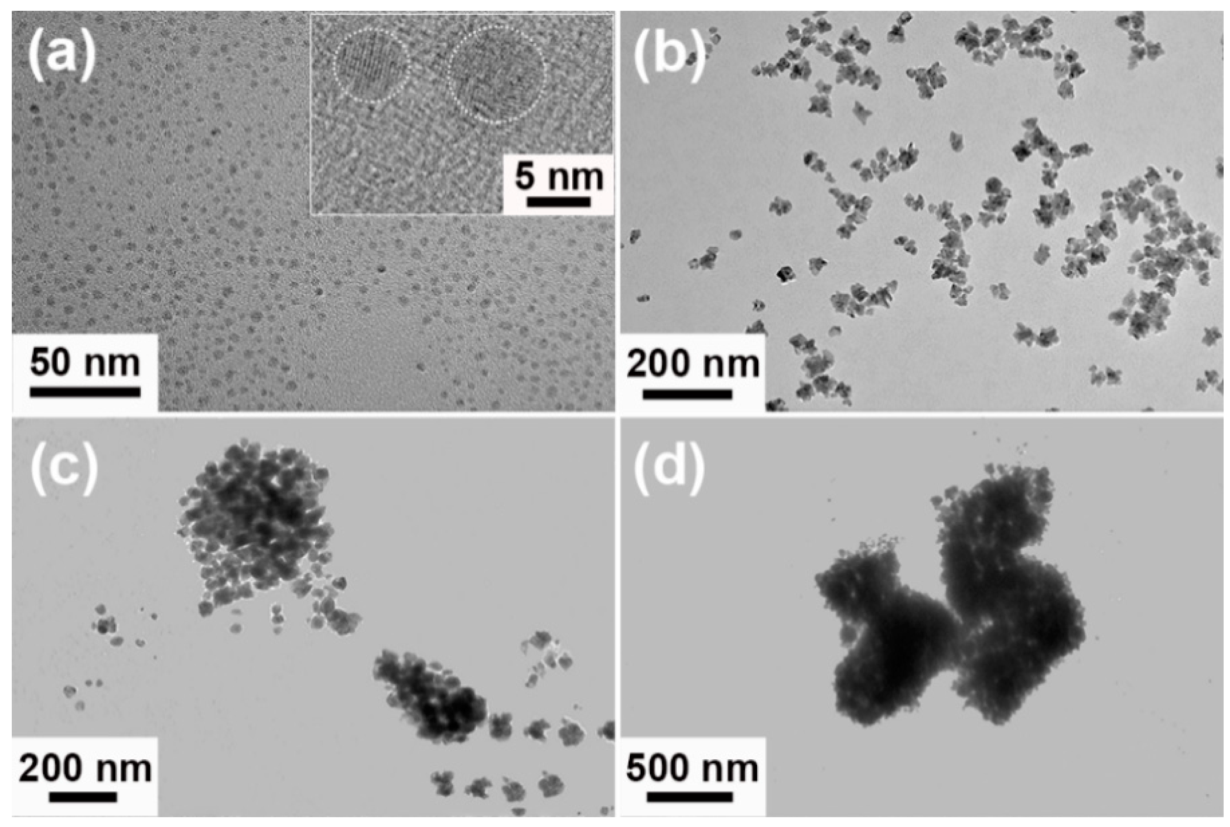 Nanomaterials 09 01772 g008 Nanomaterials 09 01772 g008