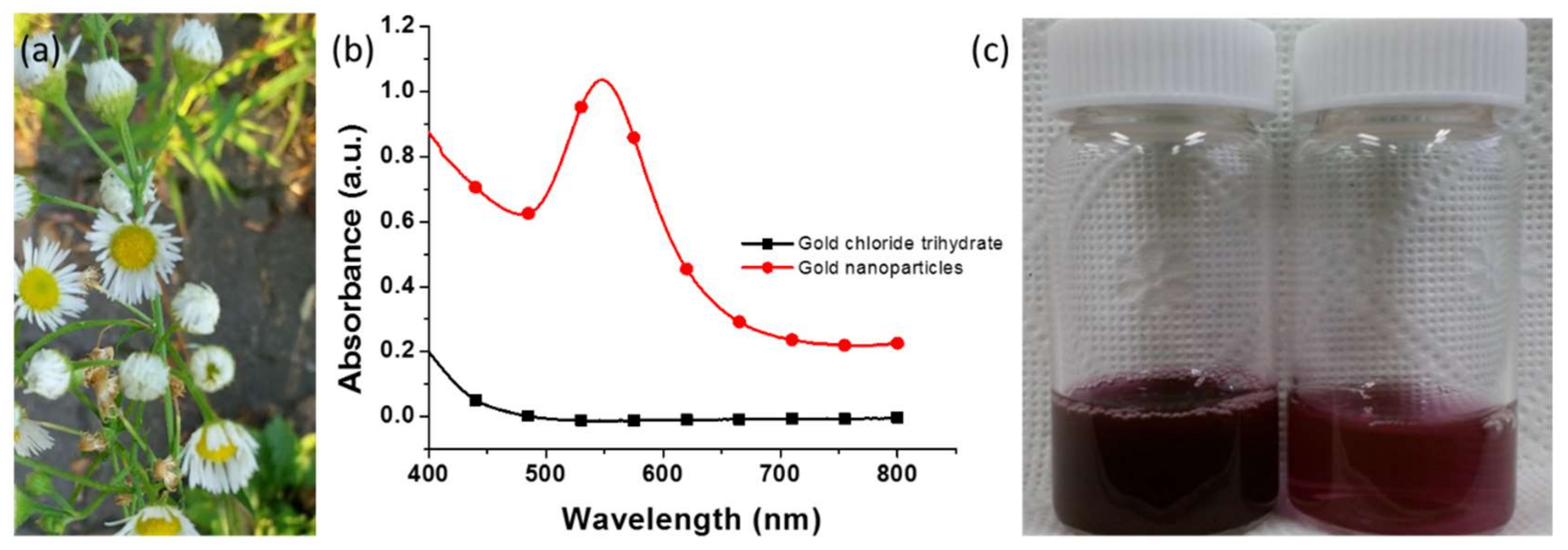 Nanomaterials 09 01774 g001