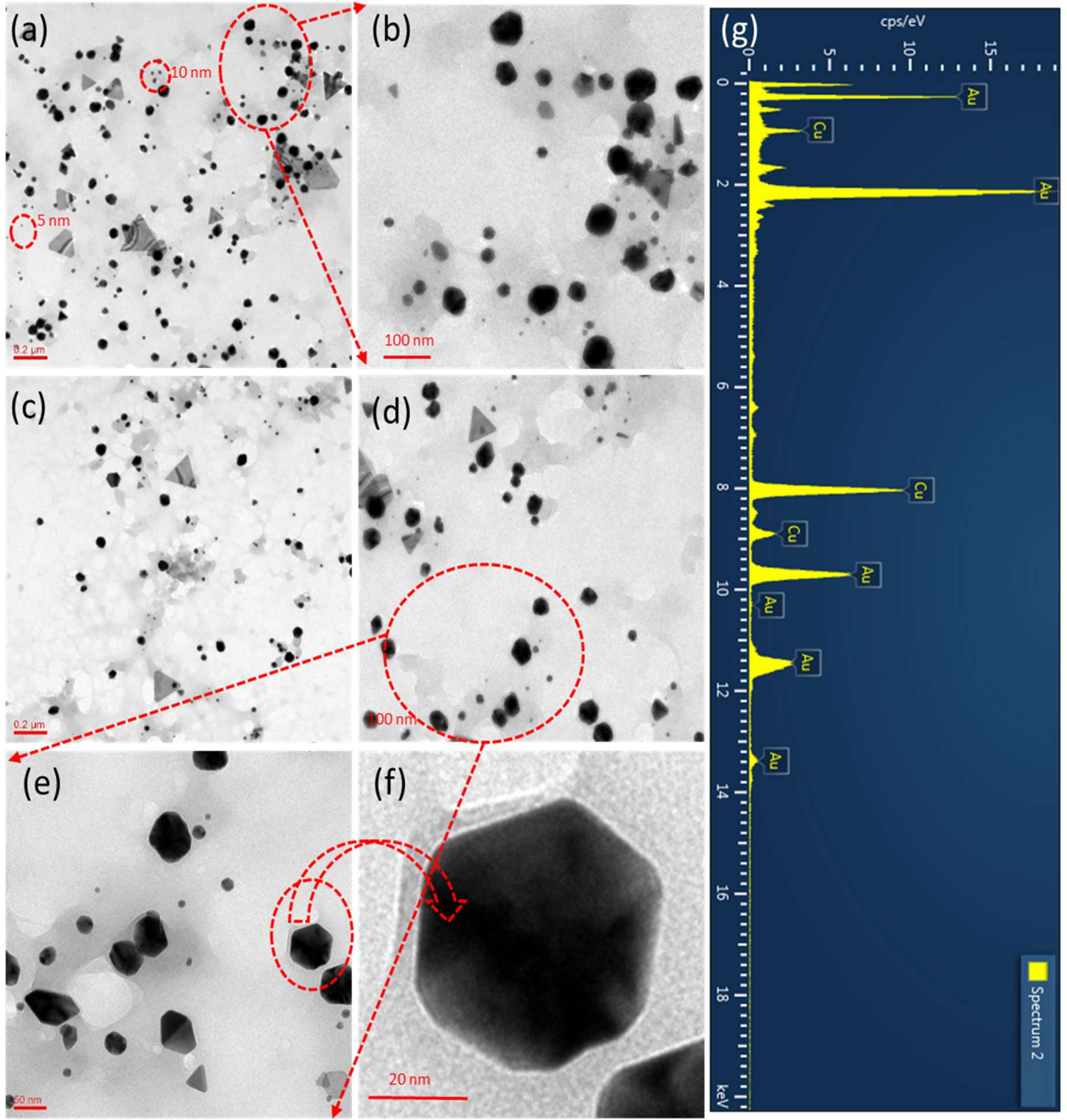 Nanomaterials 09 01774 g004