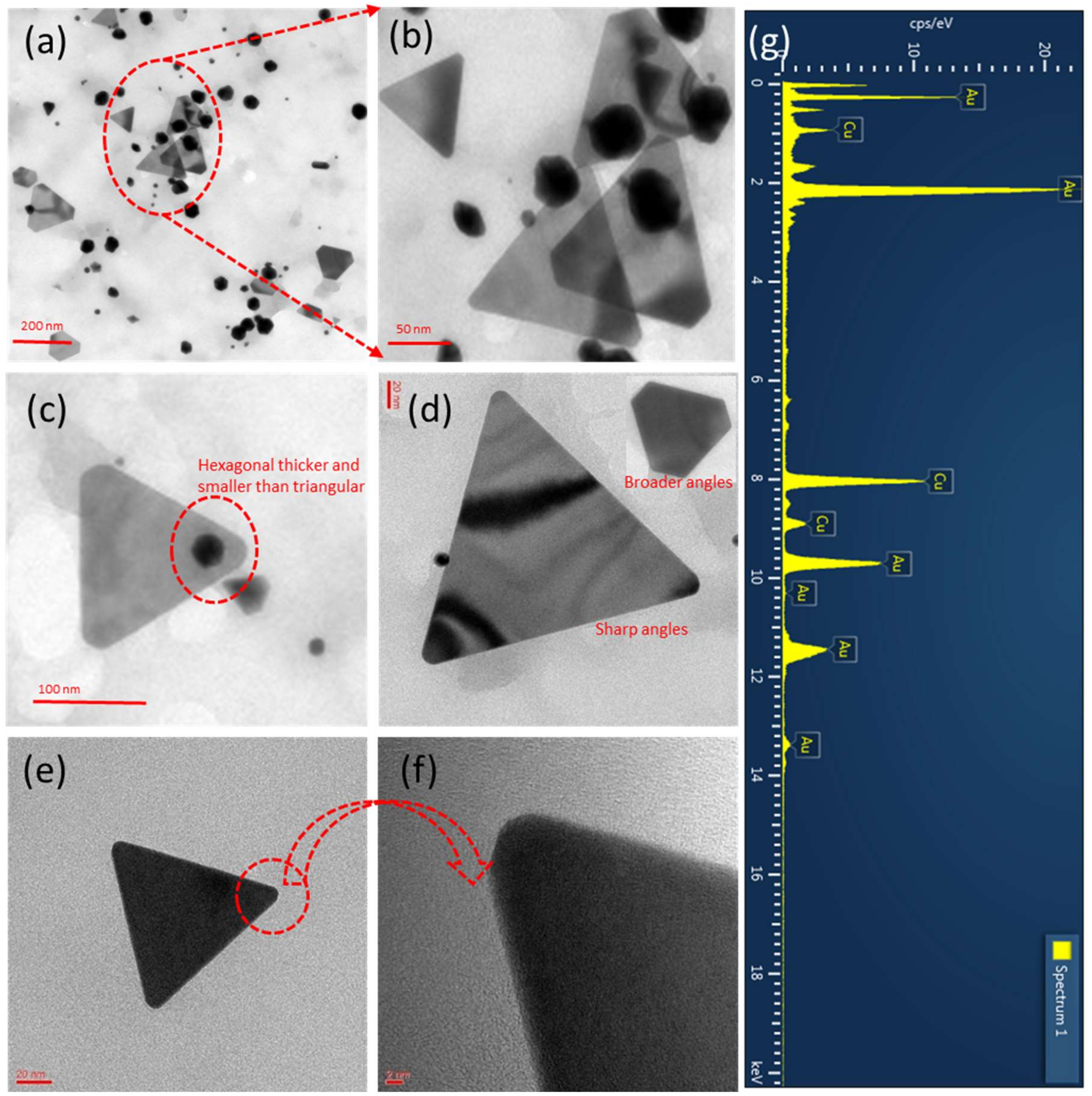 Nanomaterials 09 01774 g005