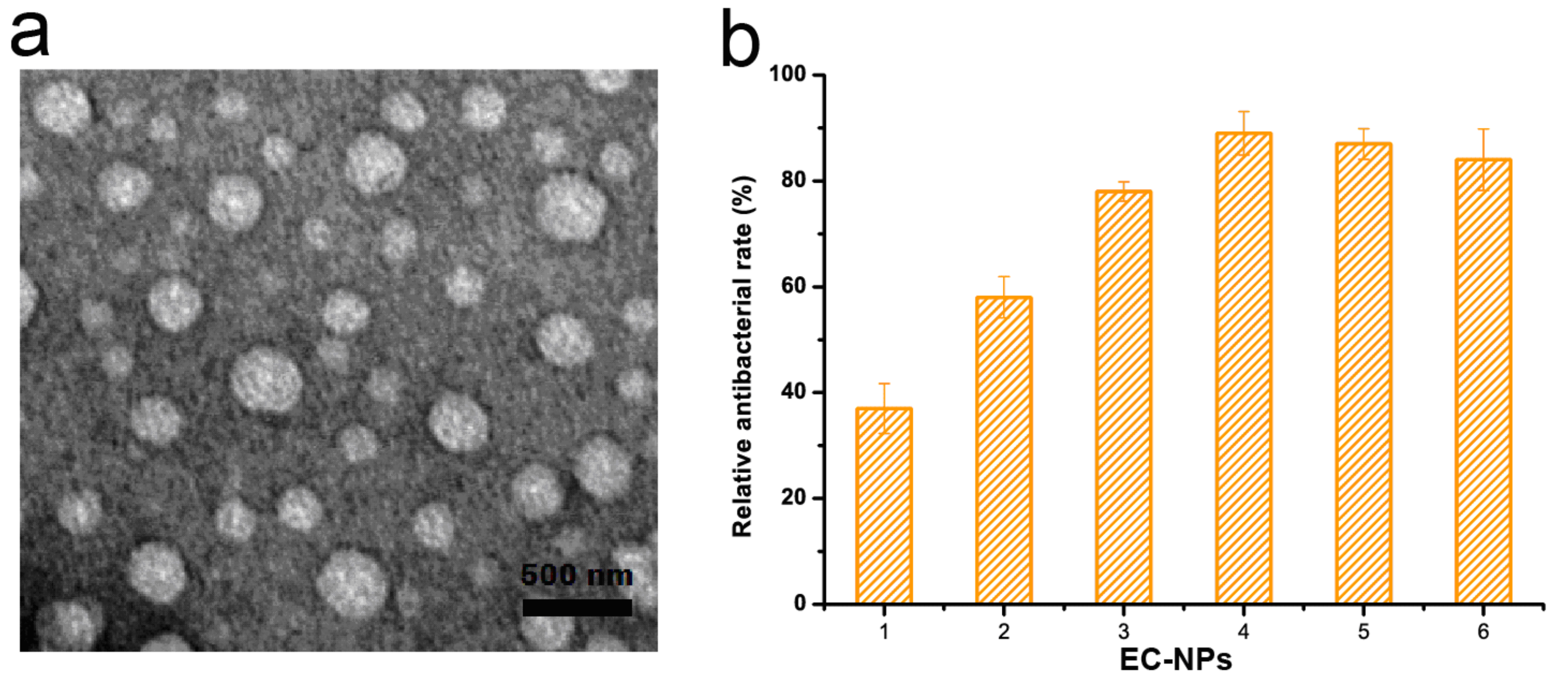 Nanomaterials 09 01777 g001