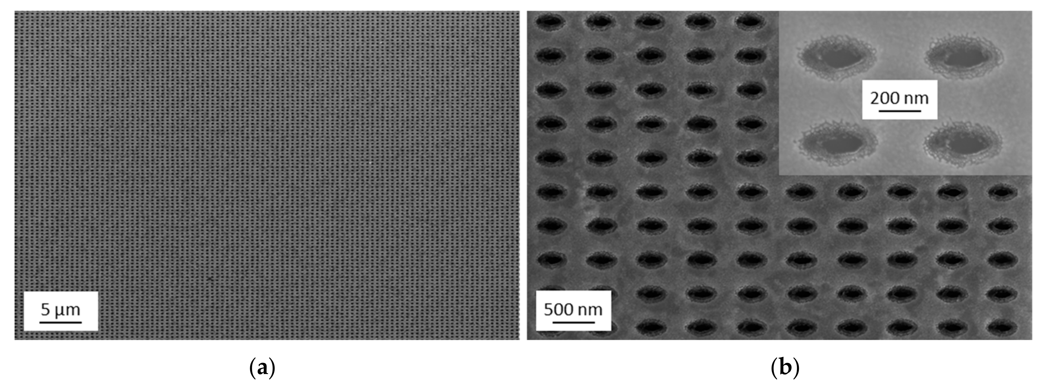 Nanomaterials 09 01790 g006