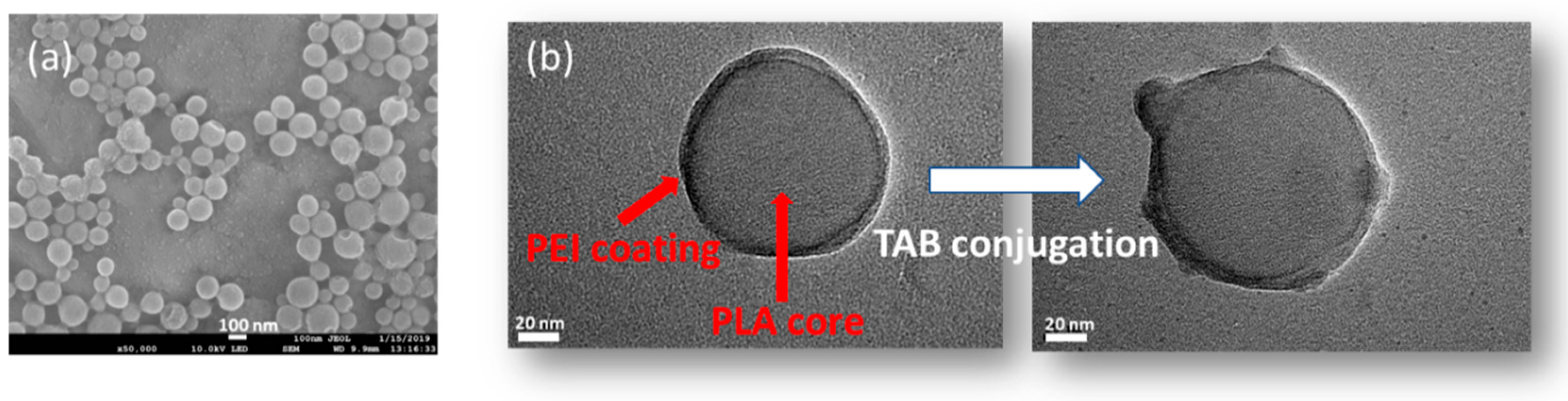 Nanomaterials 09 01793 g002