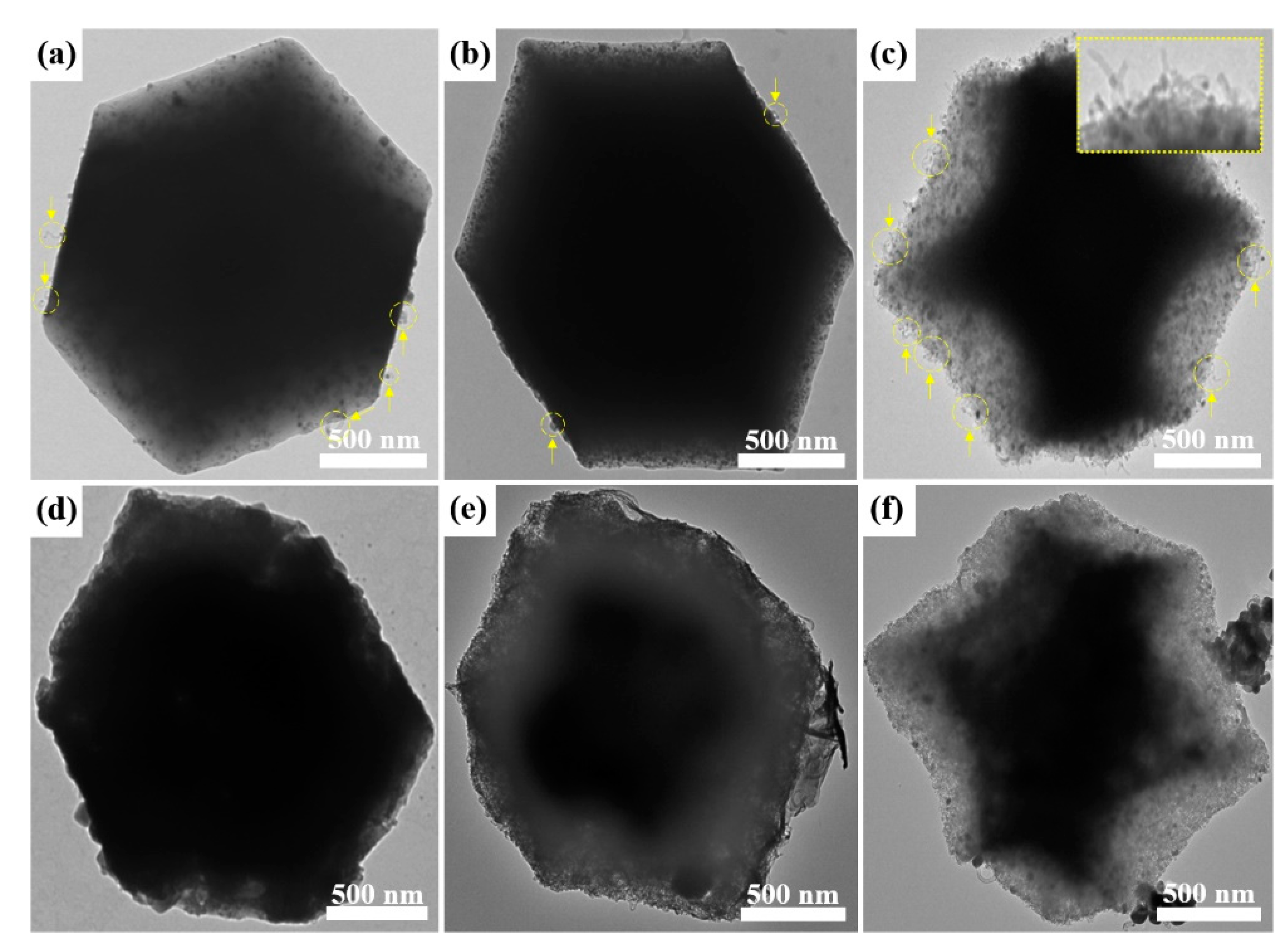 Nanomaterials 09 01796 g003