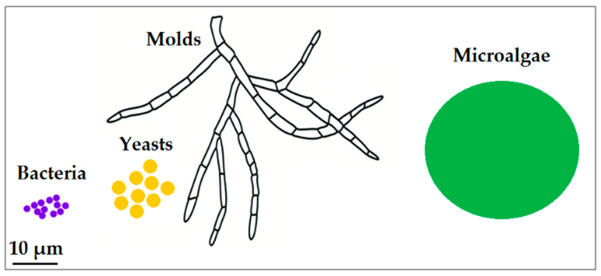Nanomaterials 10 00011 g001 Nanomaterials 10 00011 g001