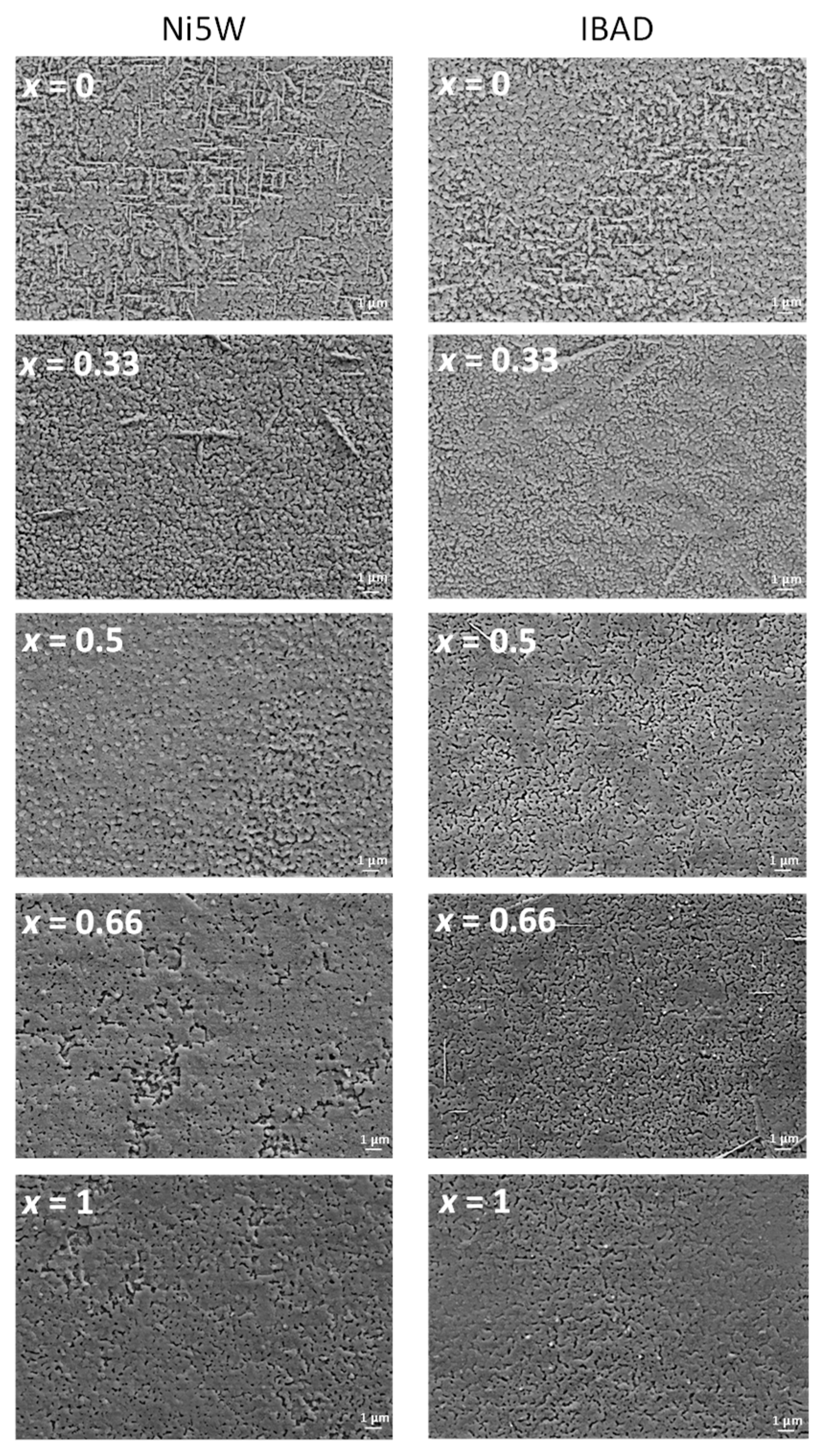 Nanomaterials 10 00021 g004