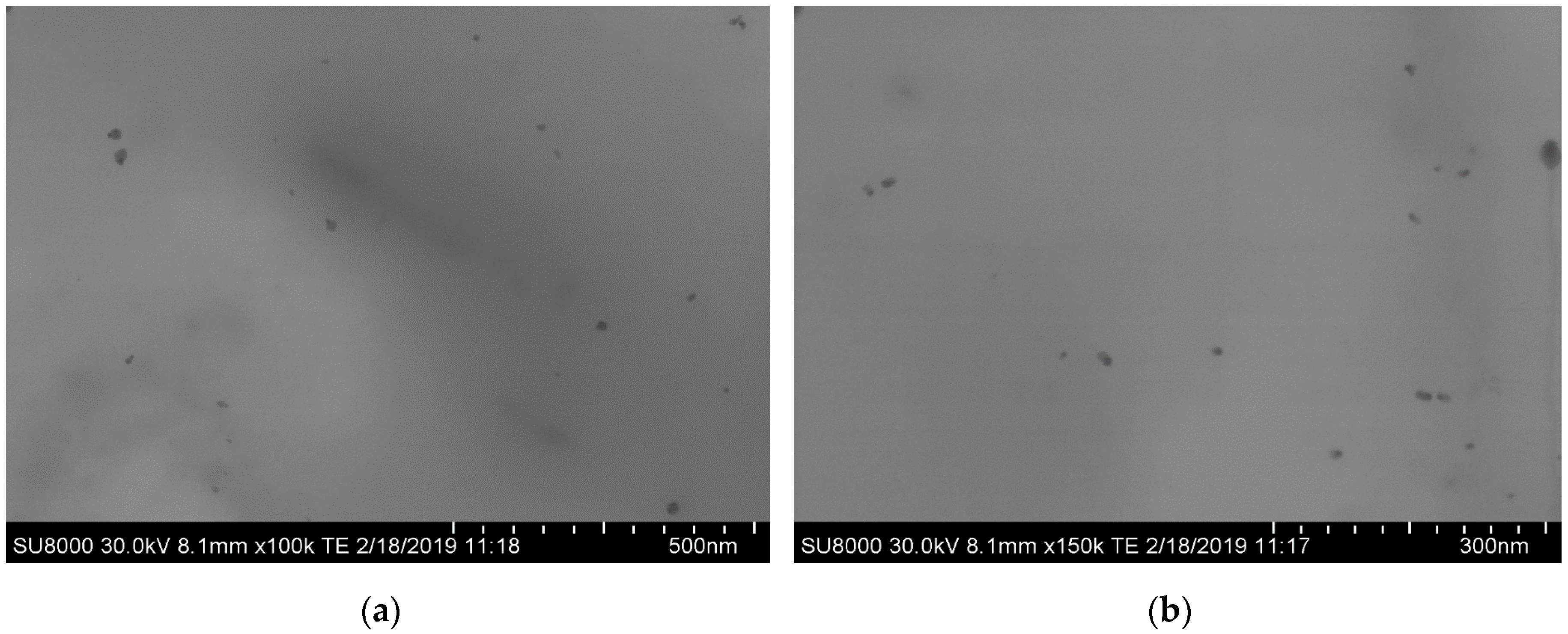 Nanomaterials 10 00022 g001 Nanomaterials 10 00022 g001