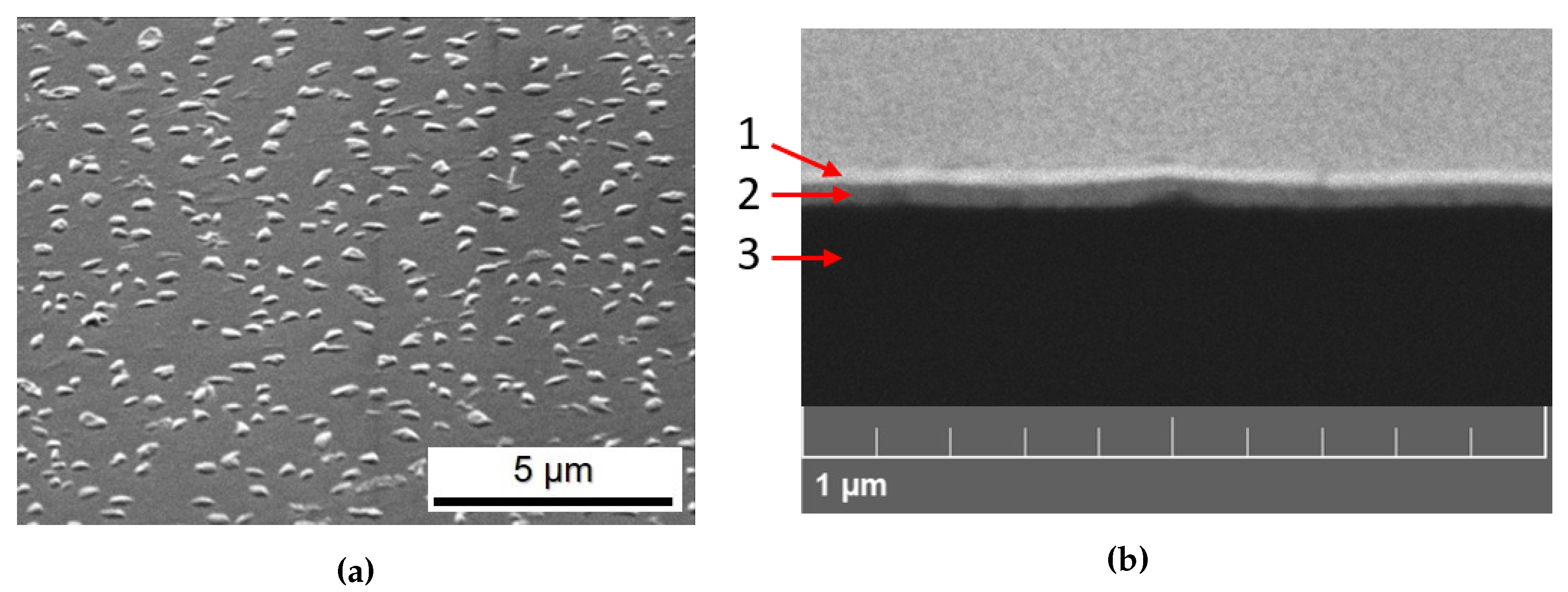 Nanomaterials 10 00060 g002 Nanomaterials 10 00060 g002