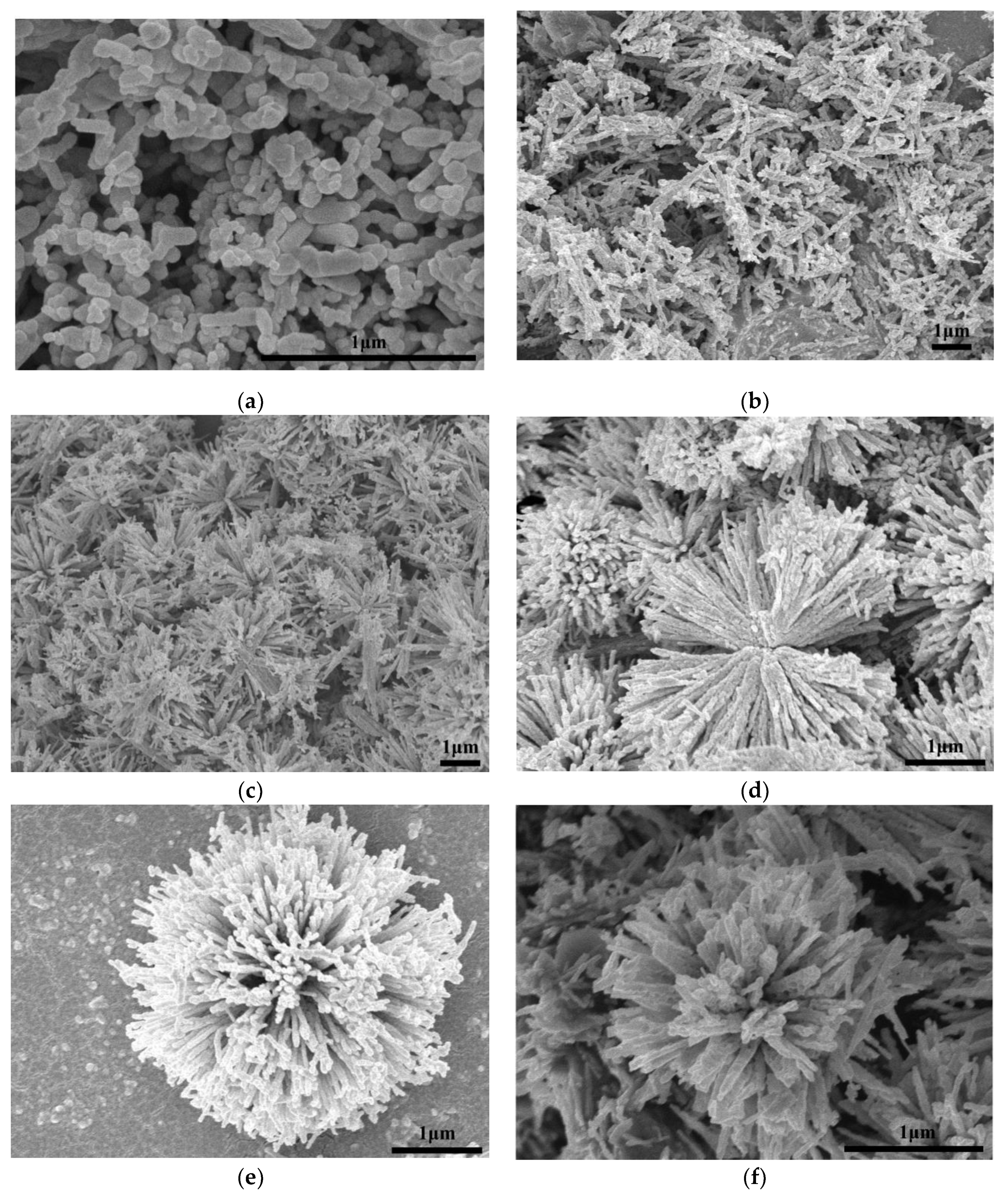 Nanomaterials 10 00067 g002