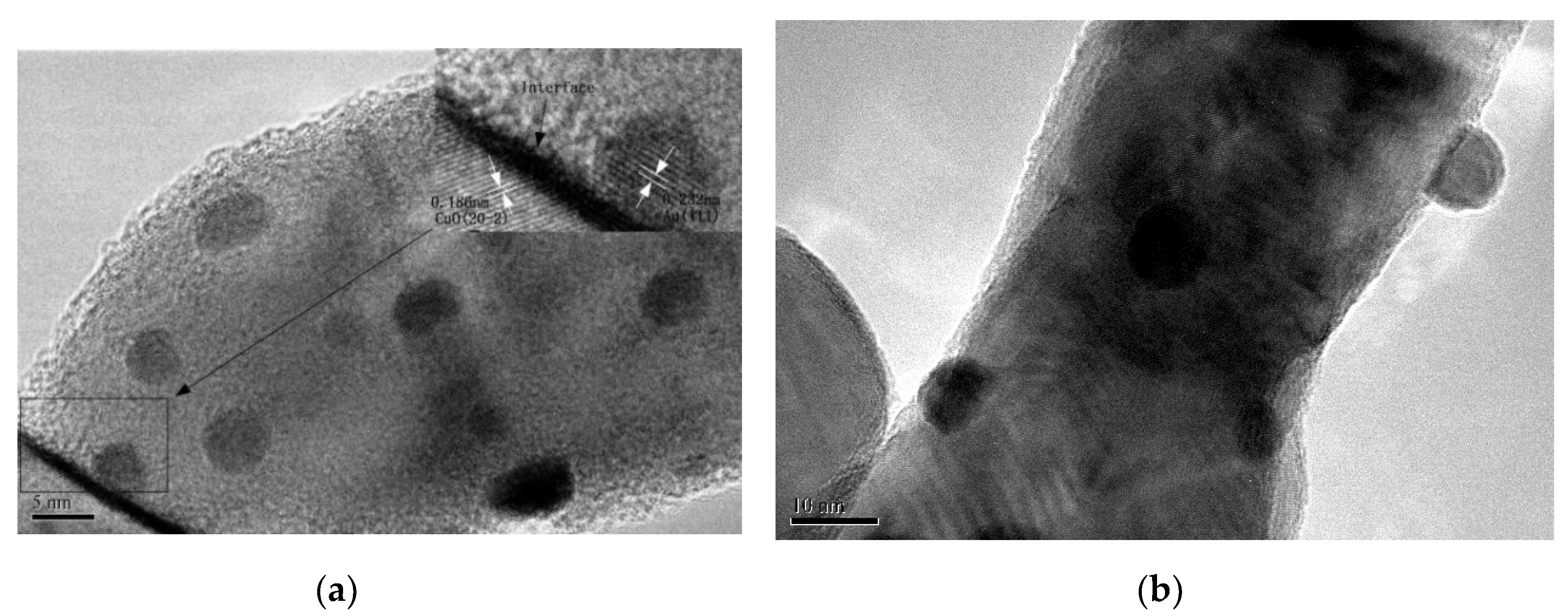 Nanomaterials 10 00067 g005