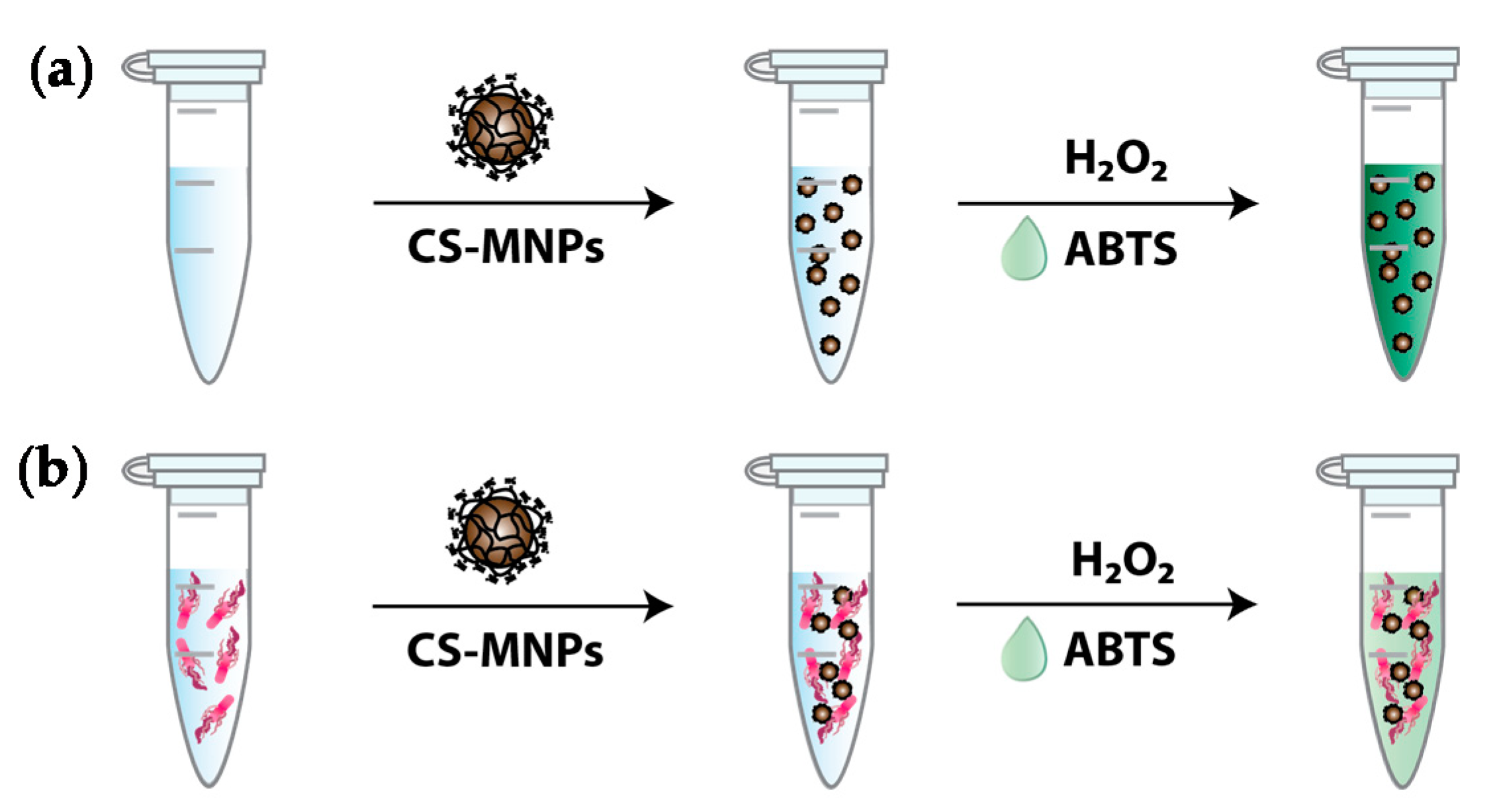 Nanomaterials 10 00092 g003 Nanomaterials 10 00092 g003
